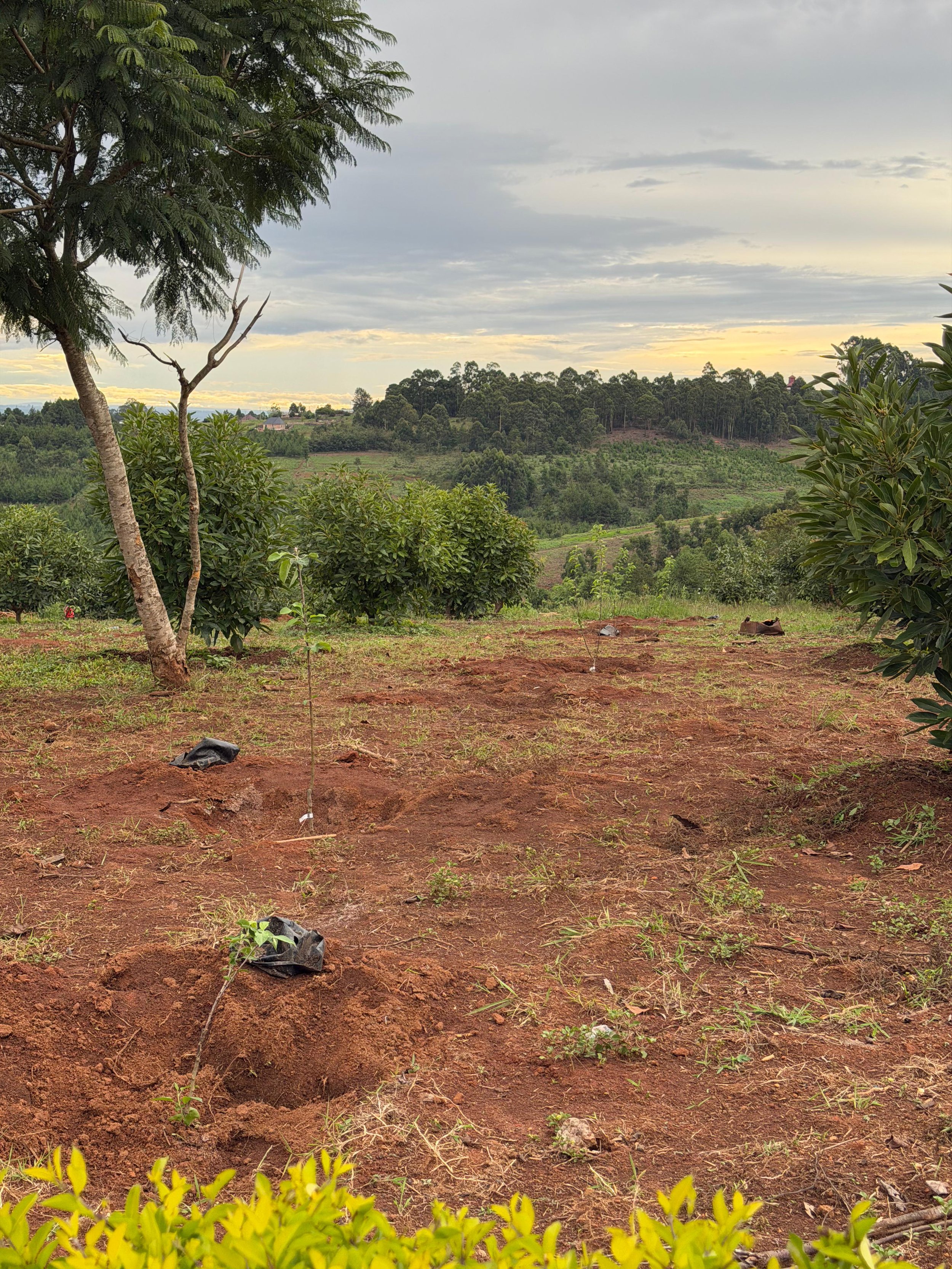 WhatsApp Image 2026-03-06 at 06.00.447.jpeg