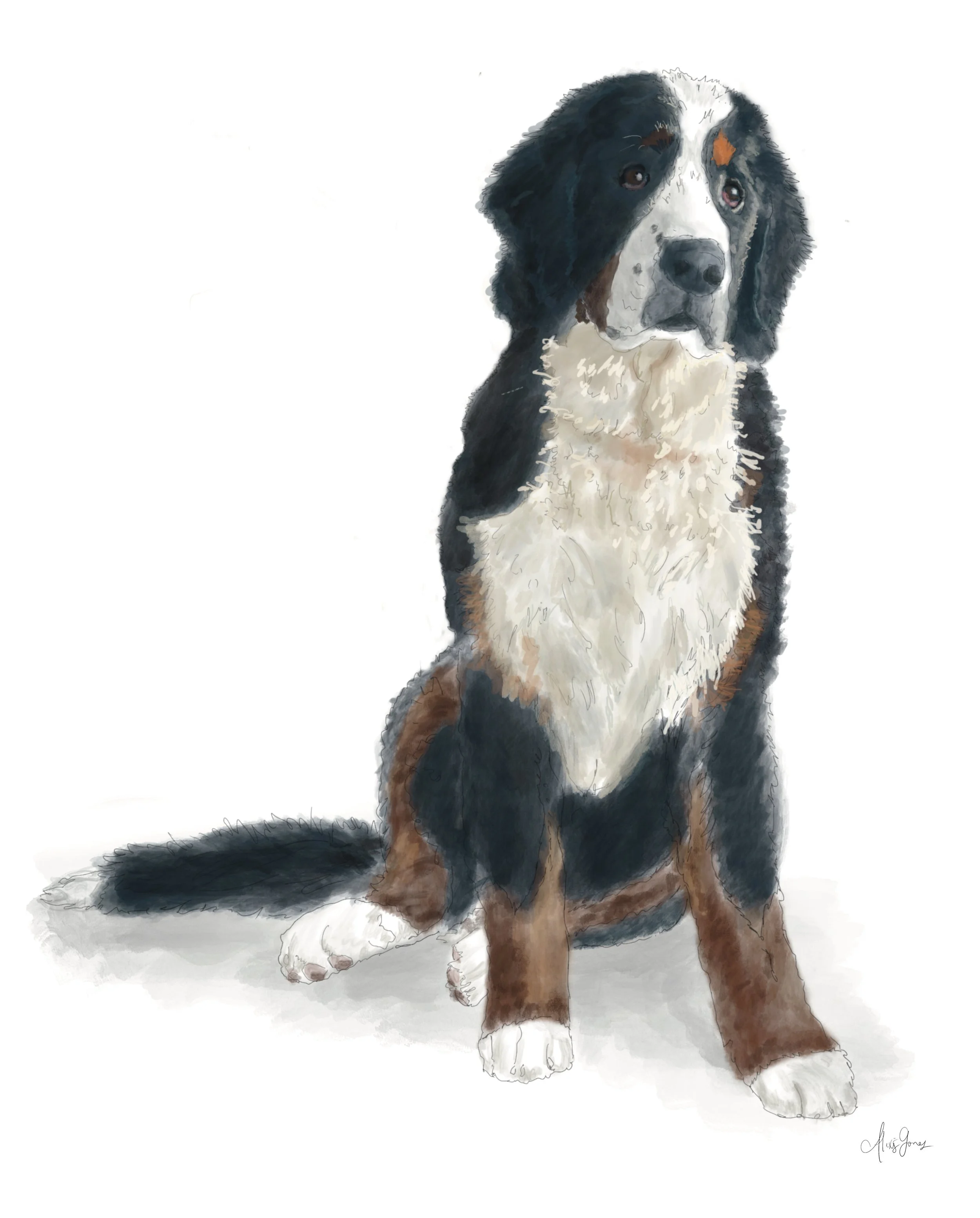 Untitled_Artwork - 2024-12-01T100005.962.jpg