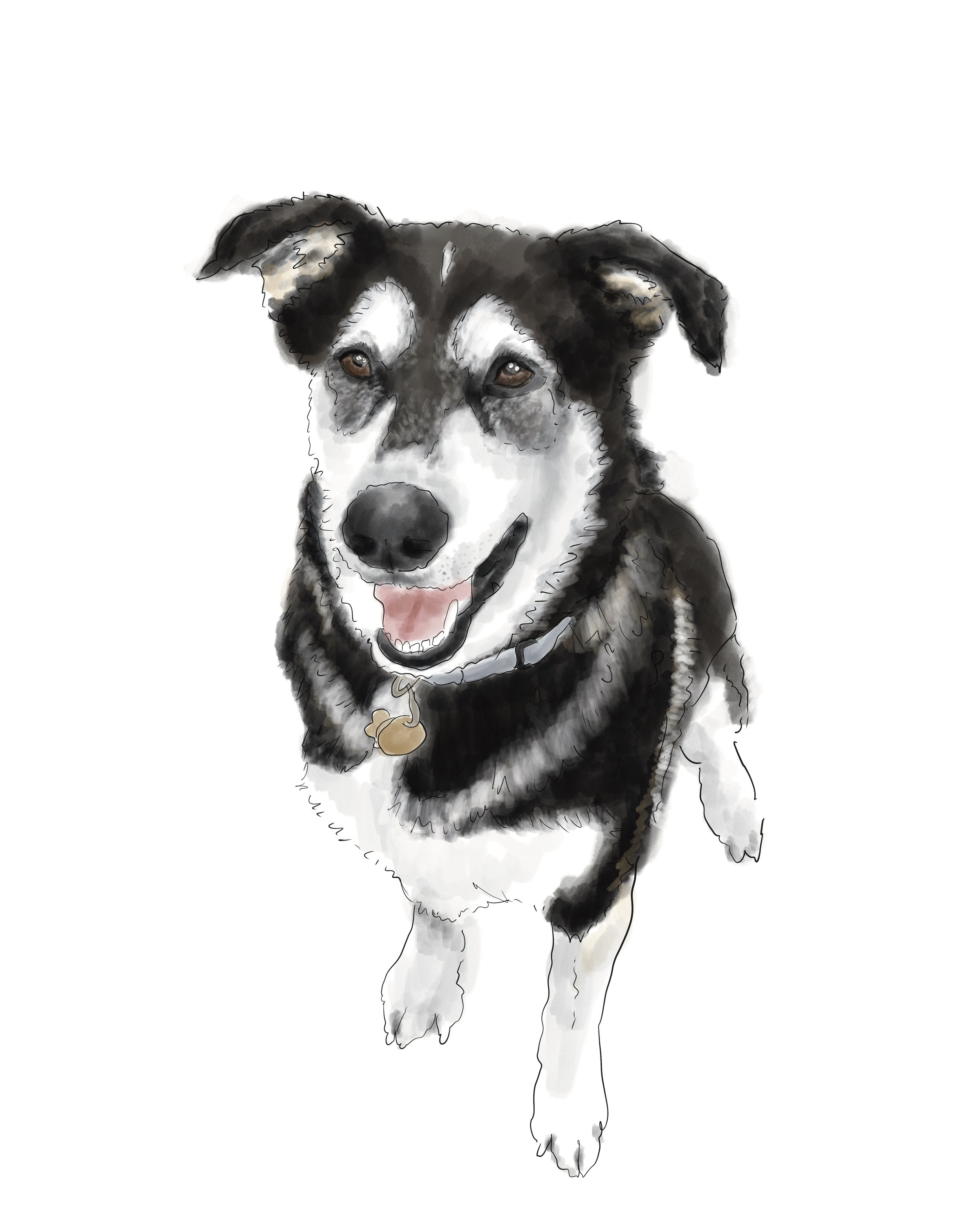 4_Remi Illustration.jpg