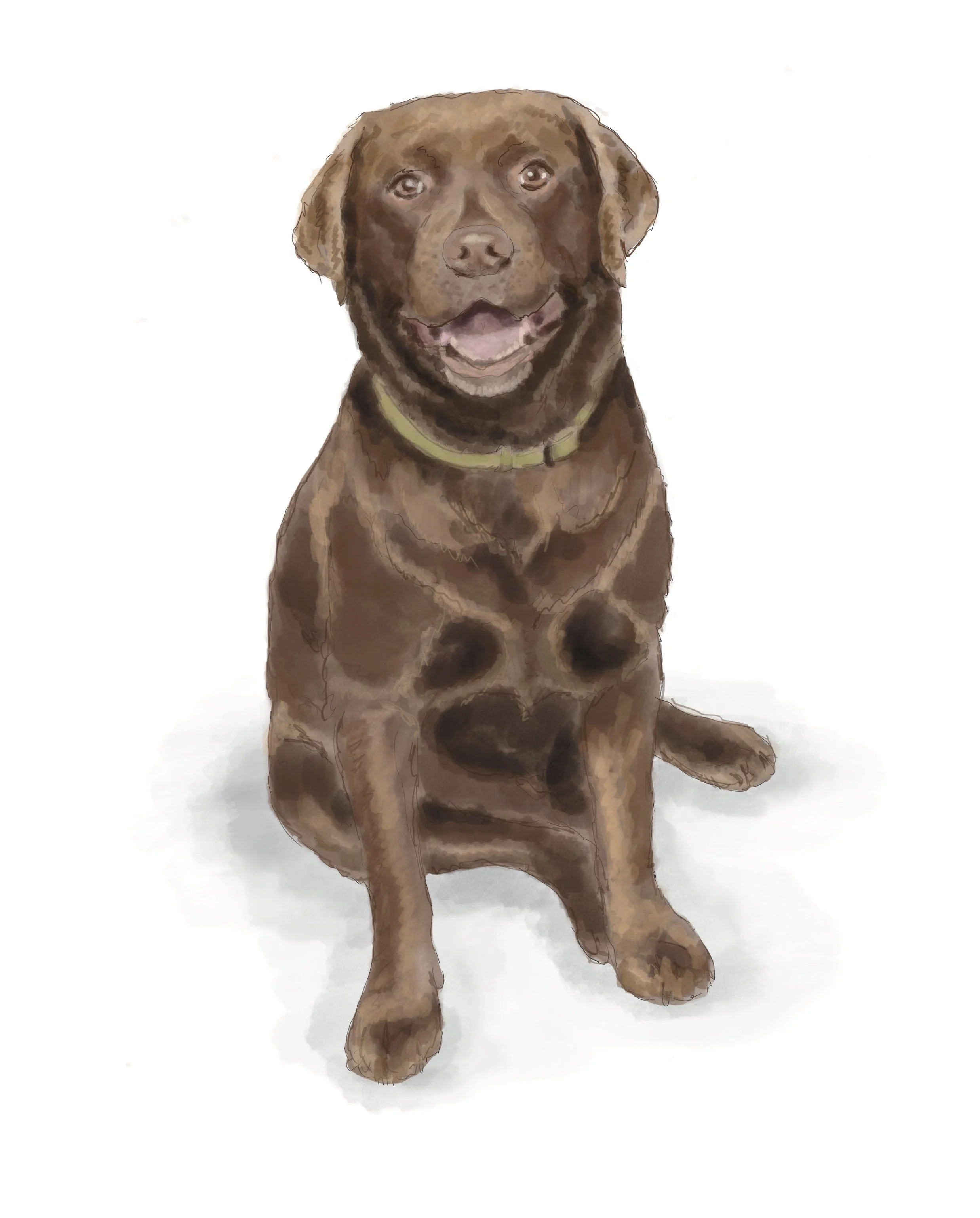 Untitled_Artwork - 2024-12-01T095959.773.jpg