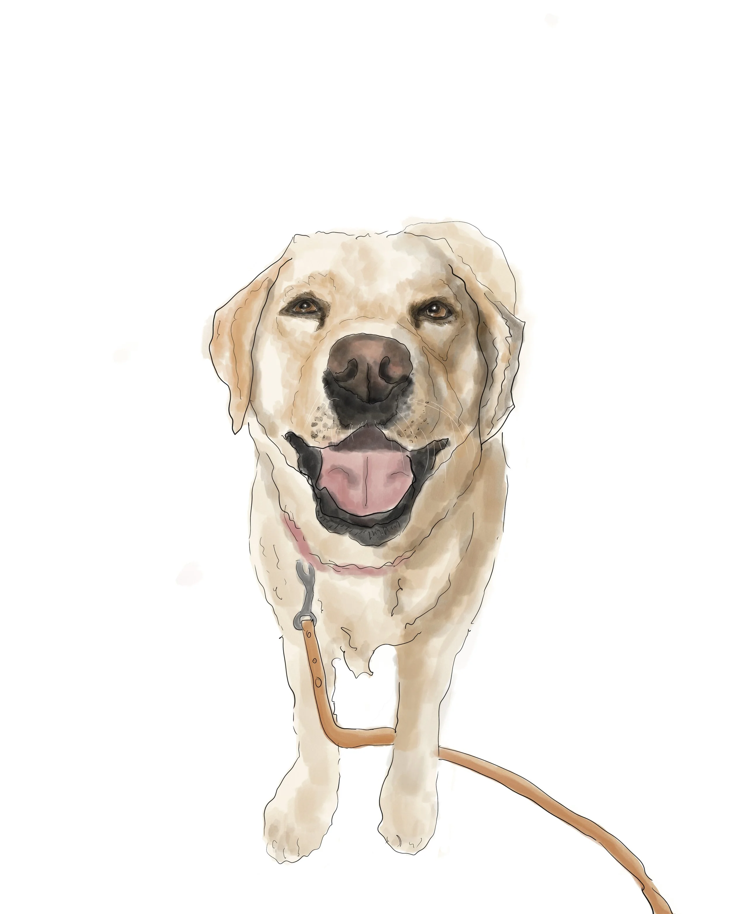 8_Jaxie Illustration.jpg