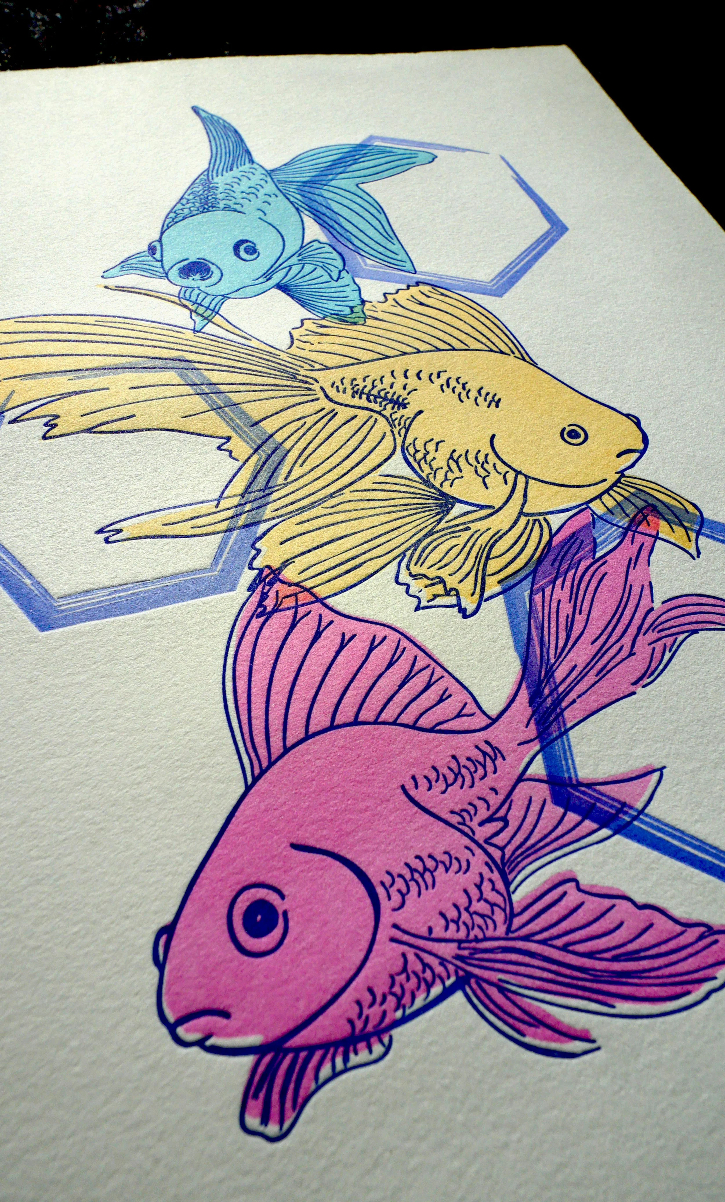 Fancy goldfish psp1.jpg