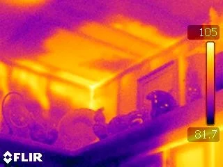 HEAT - Home Energy Auditing & Thermography, LLC