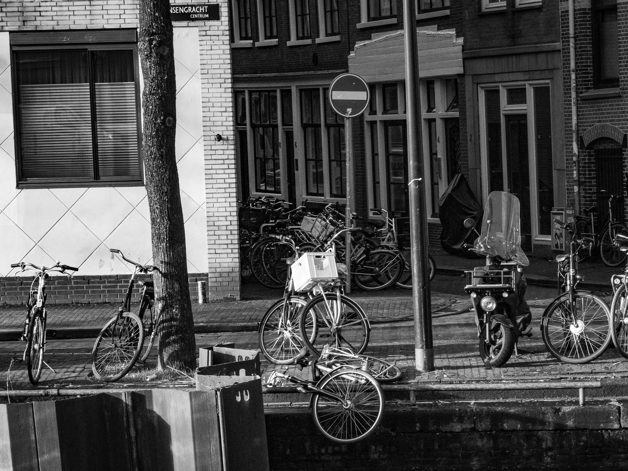 AmsterdamEditted-23.jpg