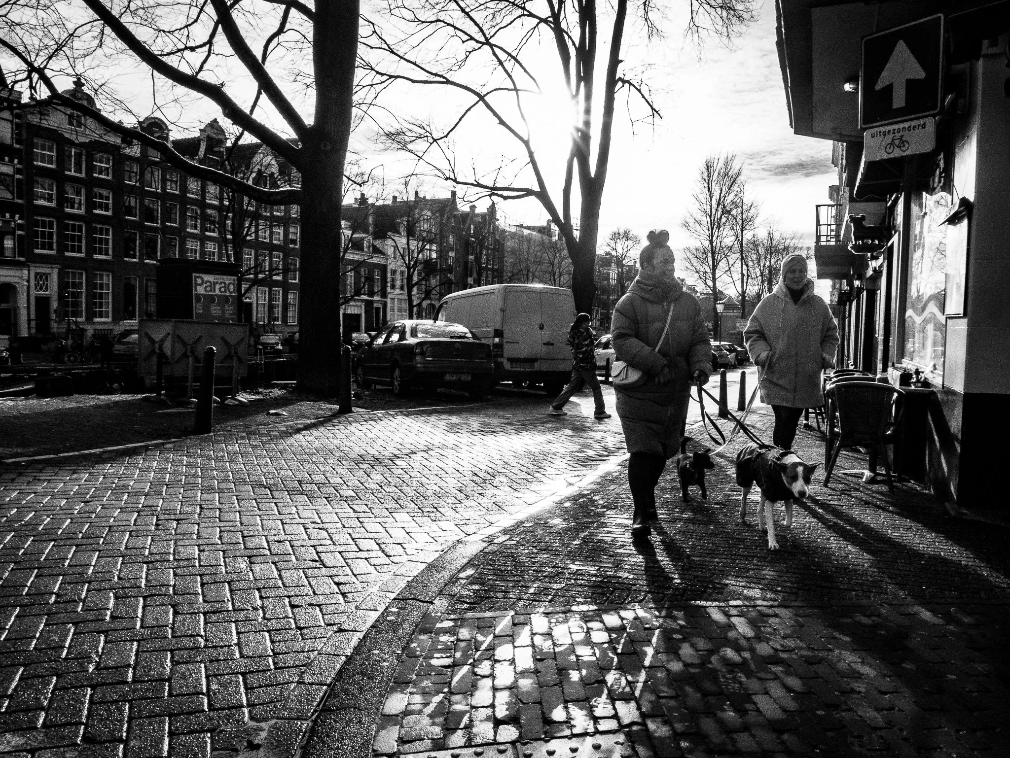 AmsterdamEditted-18.jpg