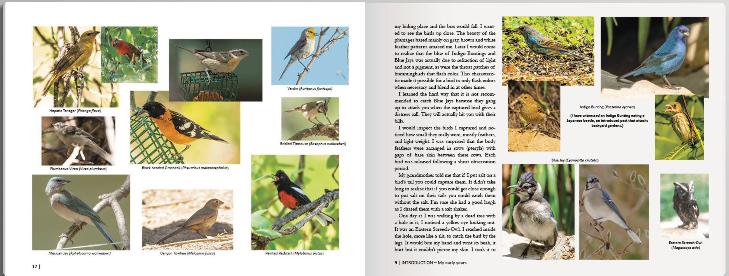 Designing and Publishing Your Coffee Table Book