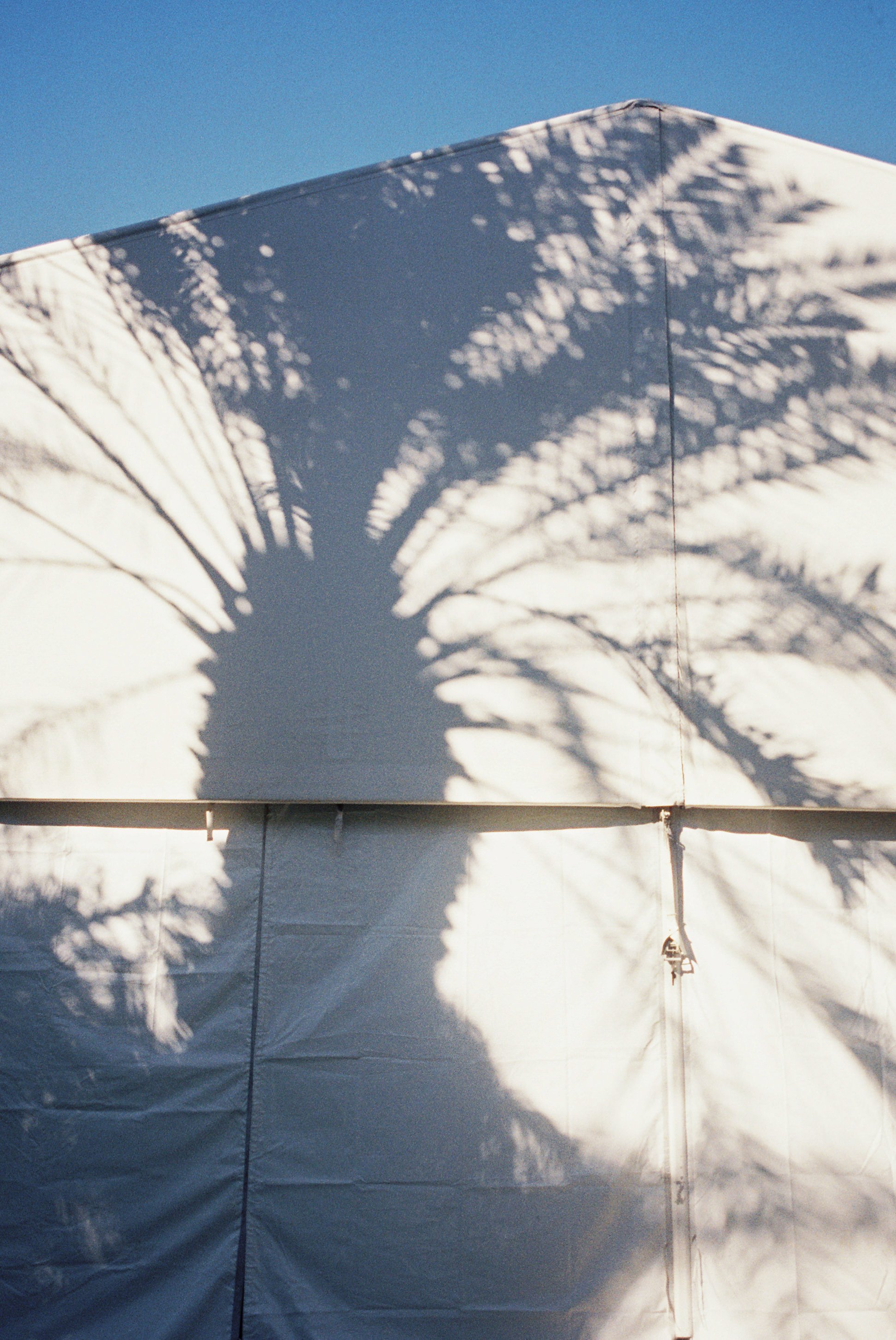 Kayla & Nikoli Wedding Photo Preview 211.JPG