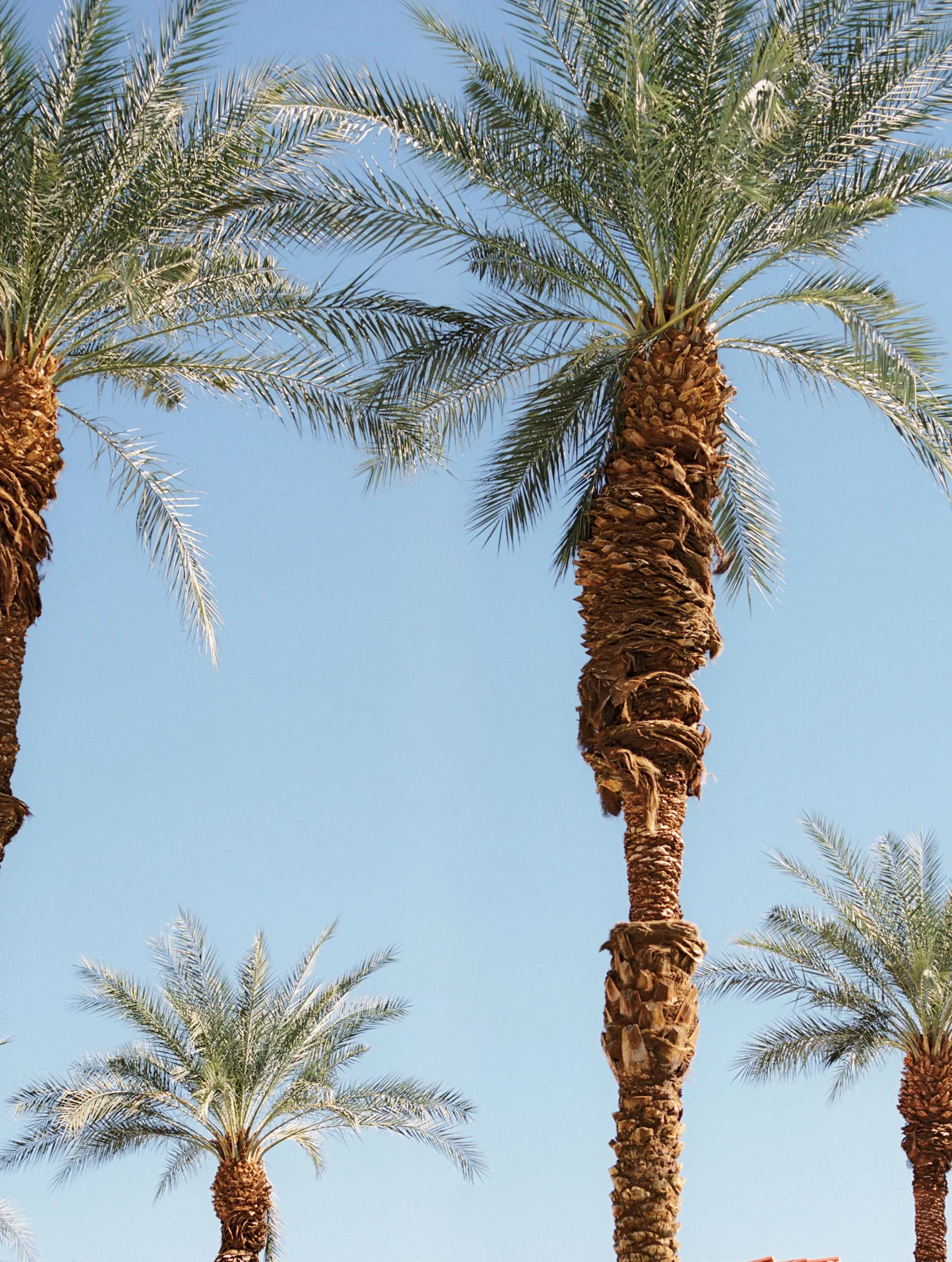 Kayla & Nikoli Wedding Photo Preview 002.JPG