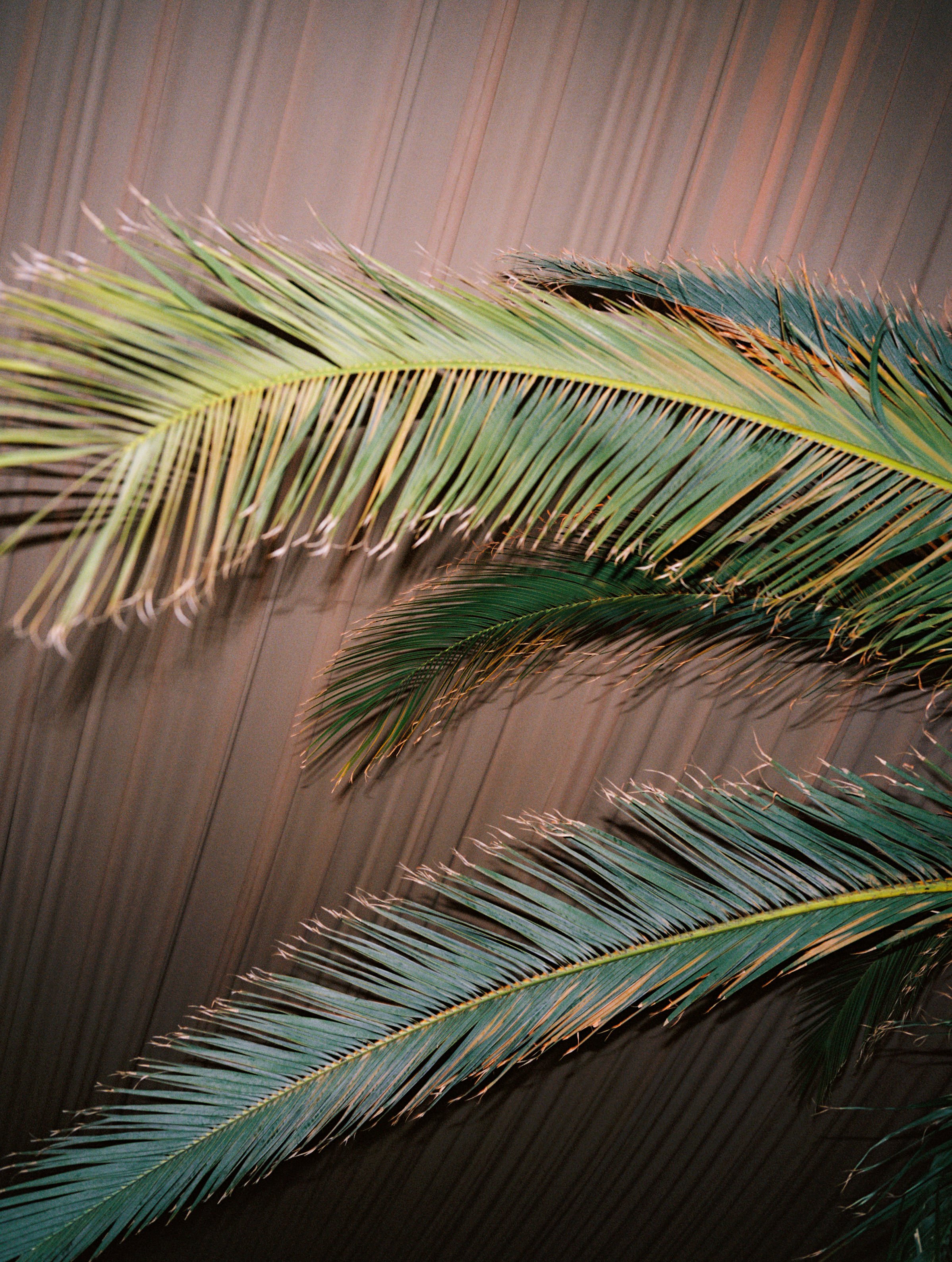 Kayla & Nikoli Wedding Photo Preview 097.JPG