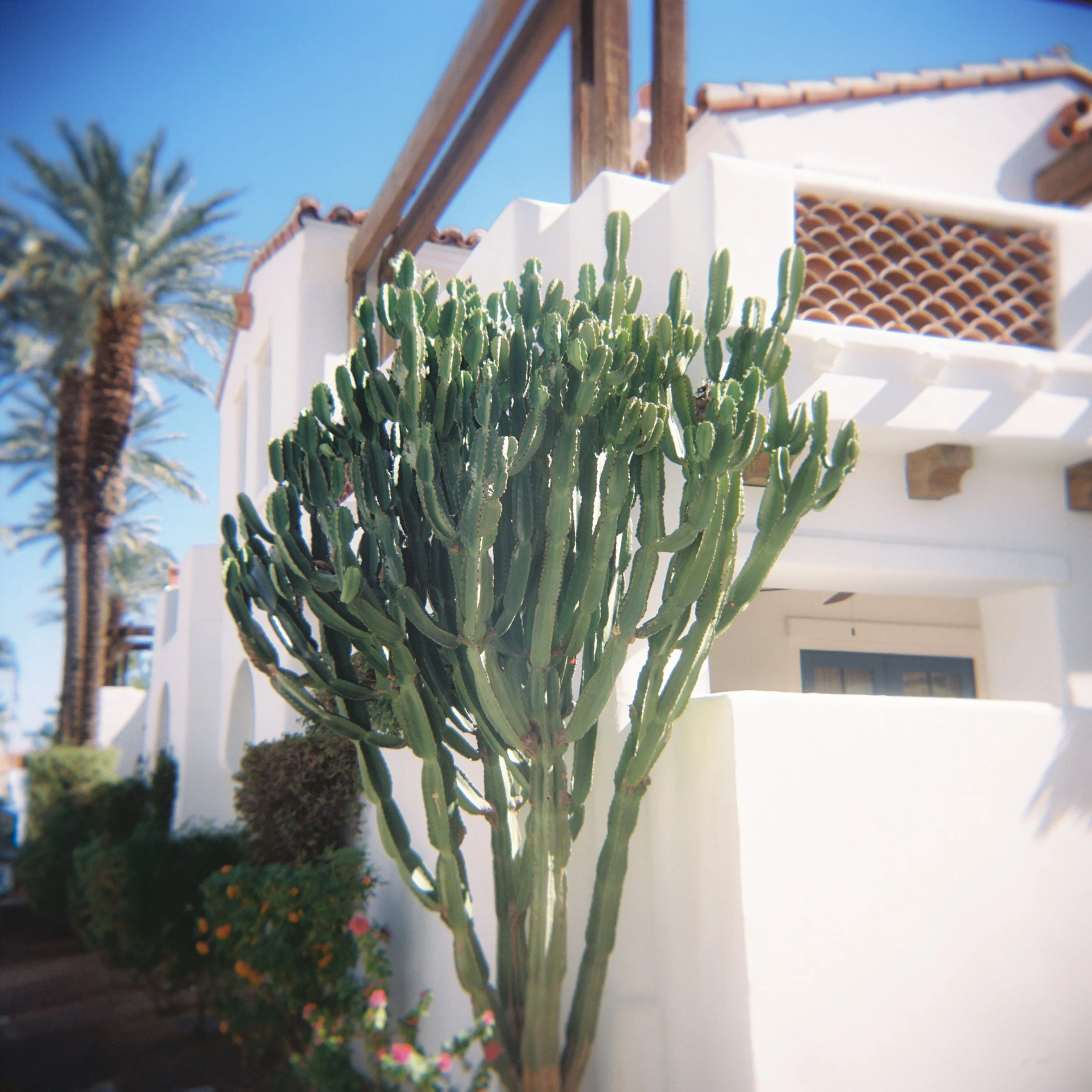 Kayla & Nikoli Wedding Photo Preview 151.JPG