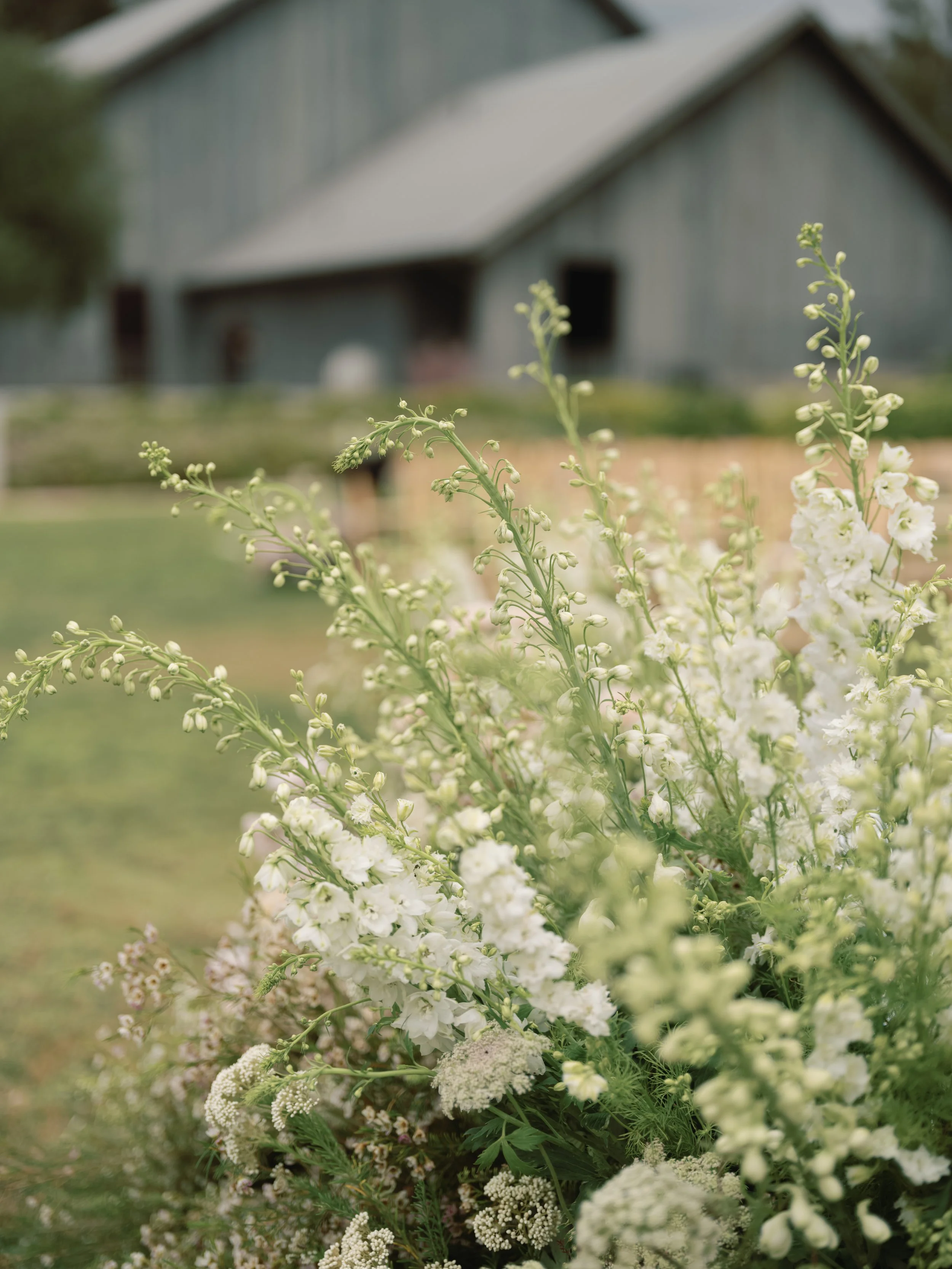 Lizzi & Jermaine Wedding Previews 047.JPG