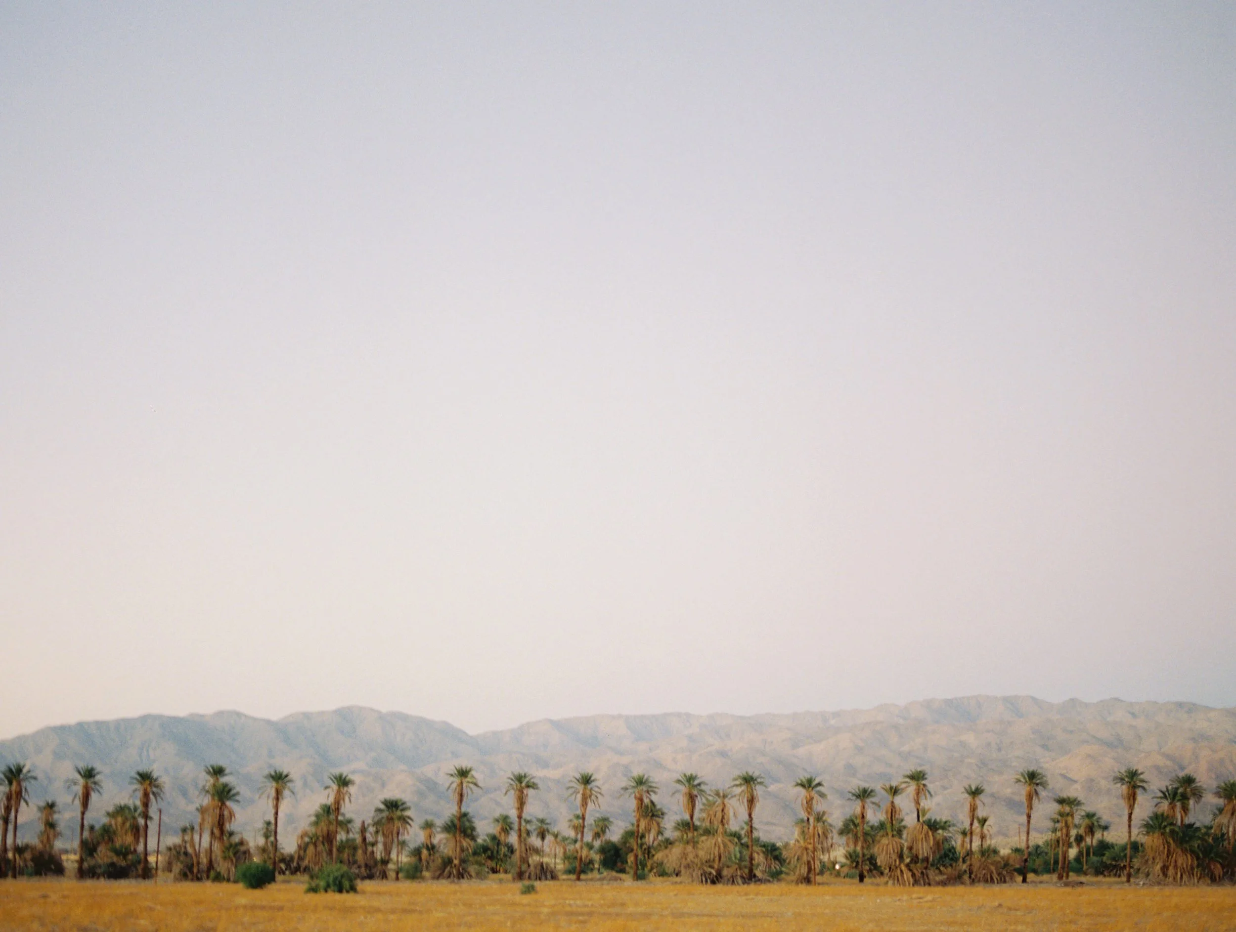 Kayla & Nikoli Wedding Photo Preview 141.JPG