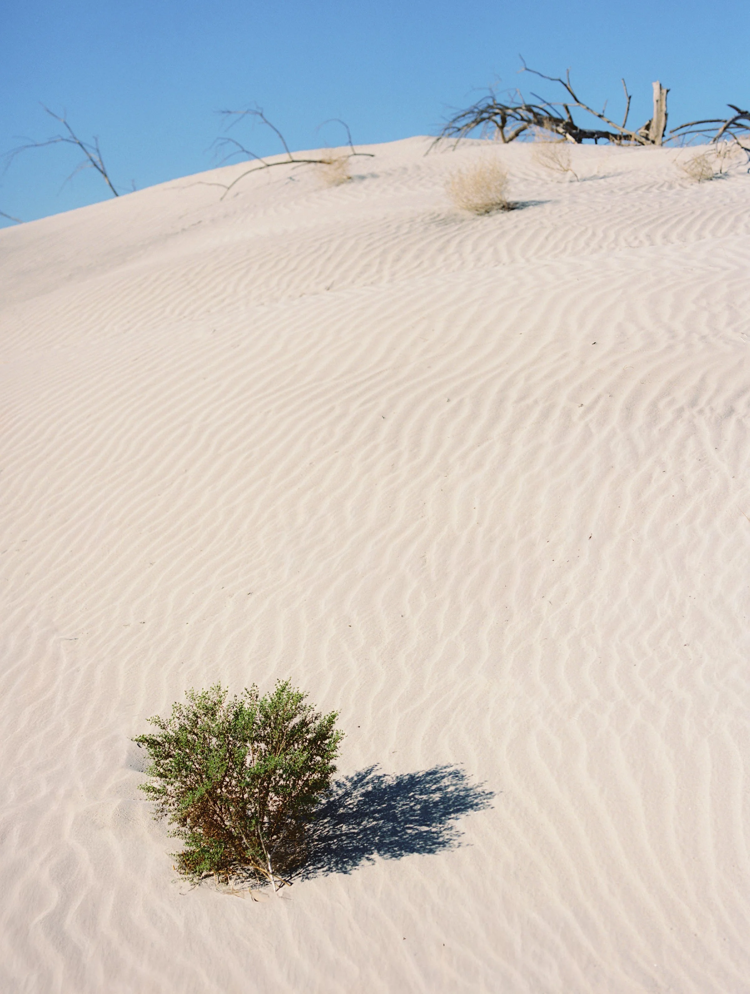 Kayla & Nikoli Wedding Photo Preview 004.JPG