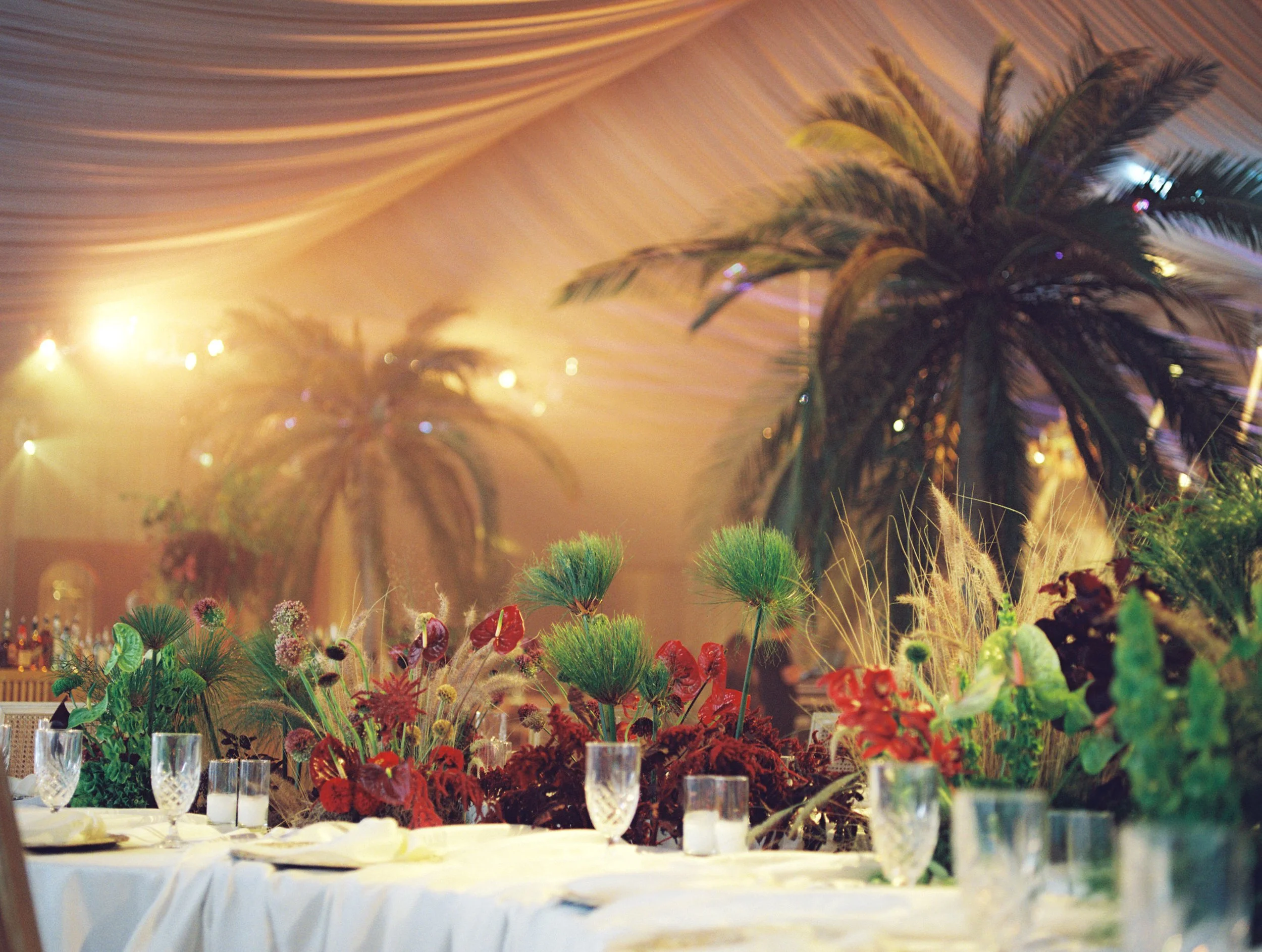 Kayla & Nikoli Wedding Photo Preview 130.JPG