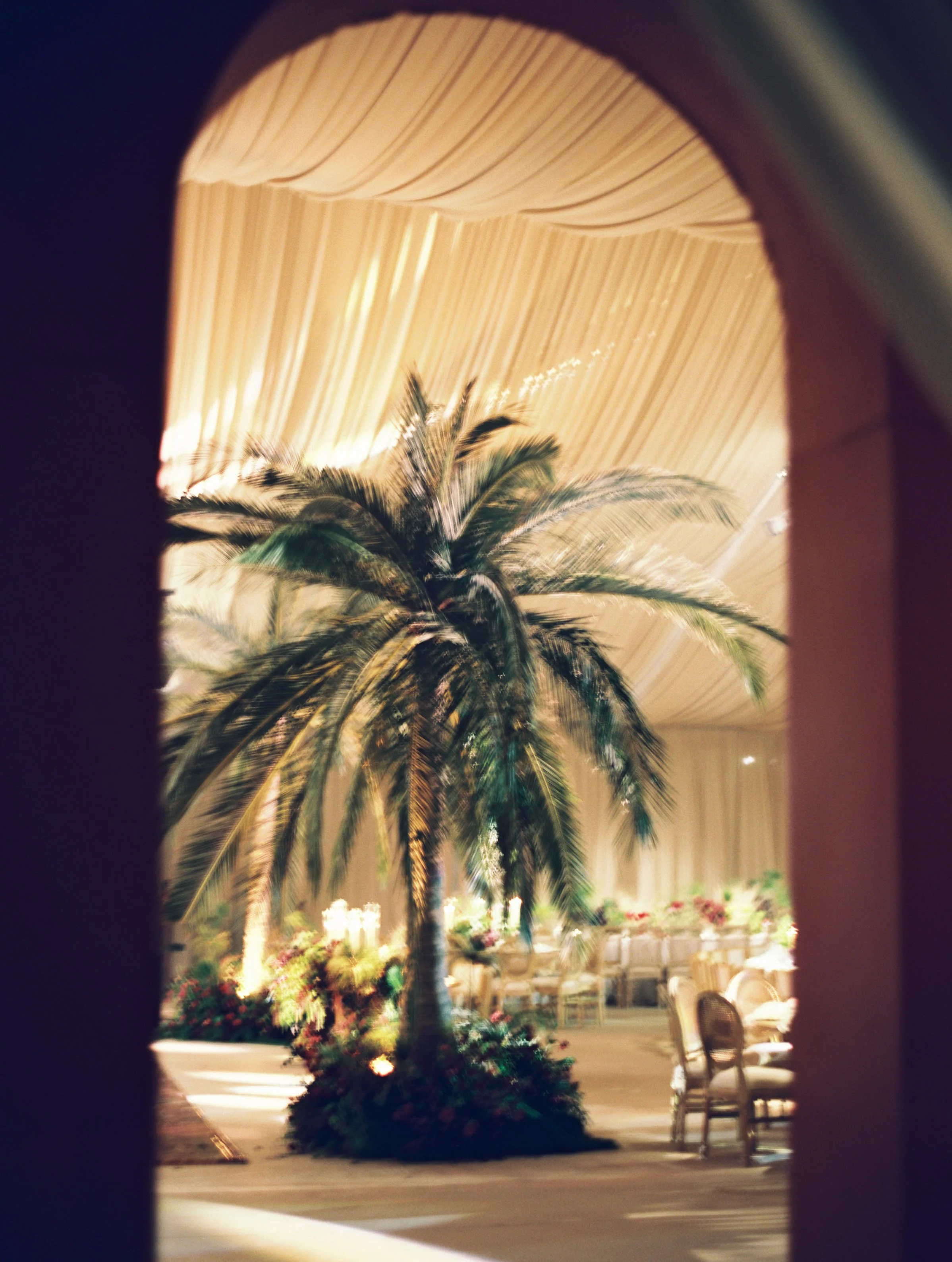 Kayla & Nikoli Wedding Photos 120mm 254.JPG