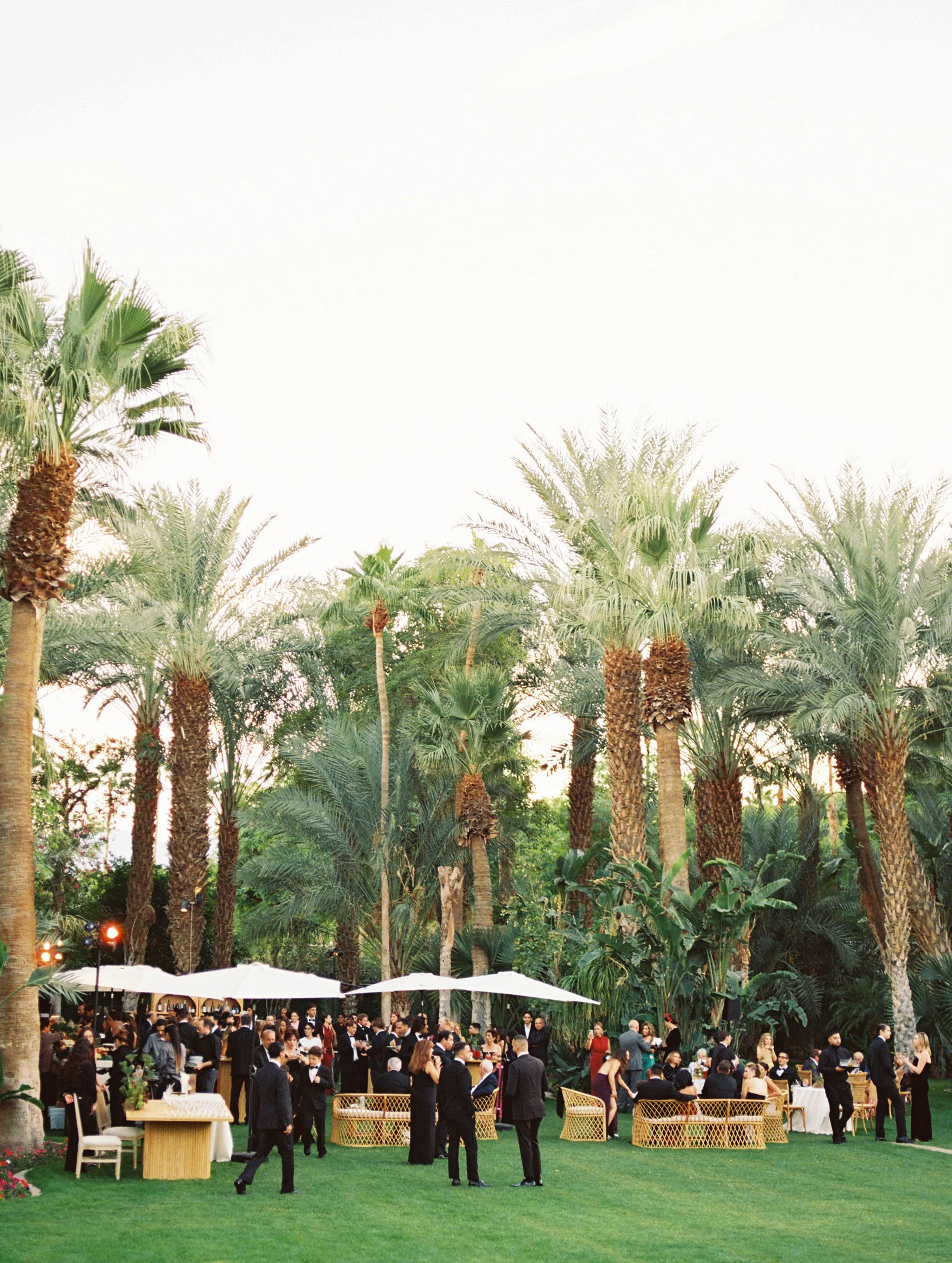 Kayla & Nikoli Wedding Photo Preview 134.JPG