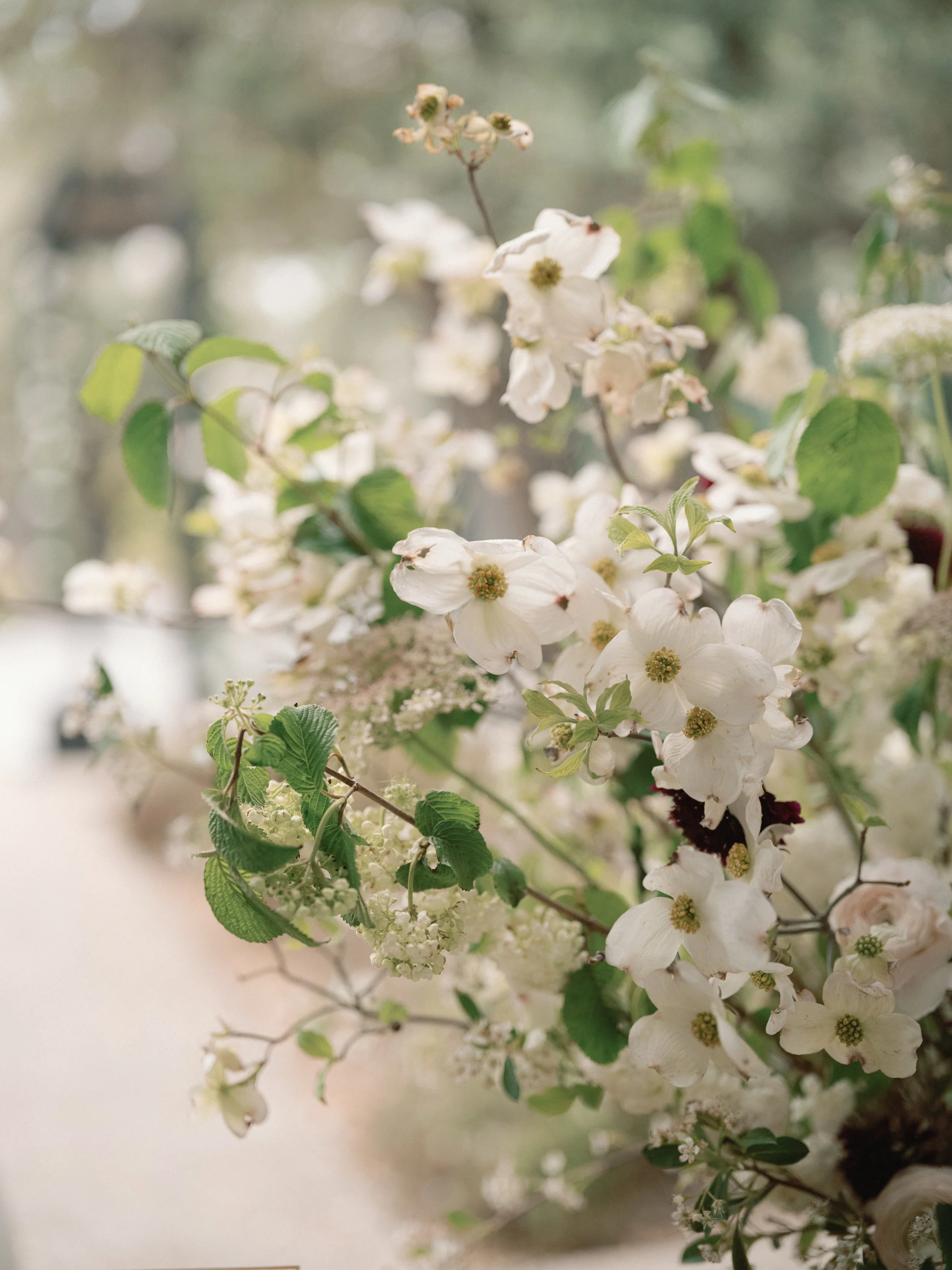 Lizzi & Jermaine Wedding Previews 011.JPG