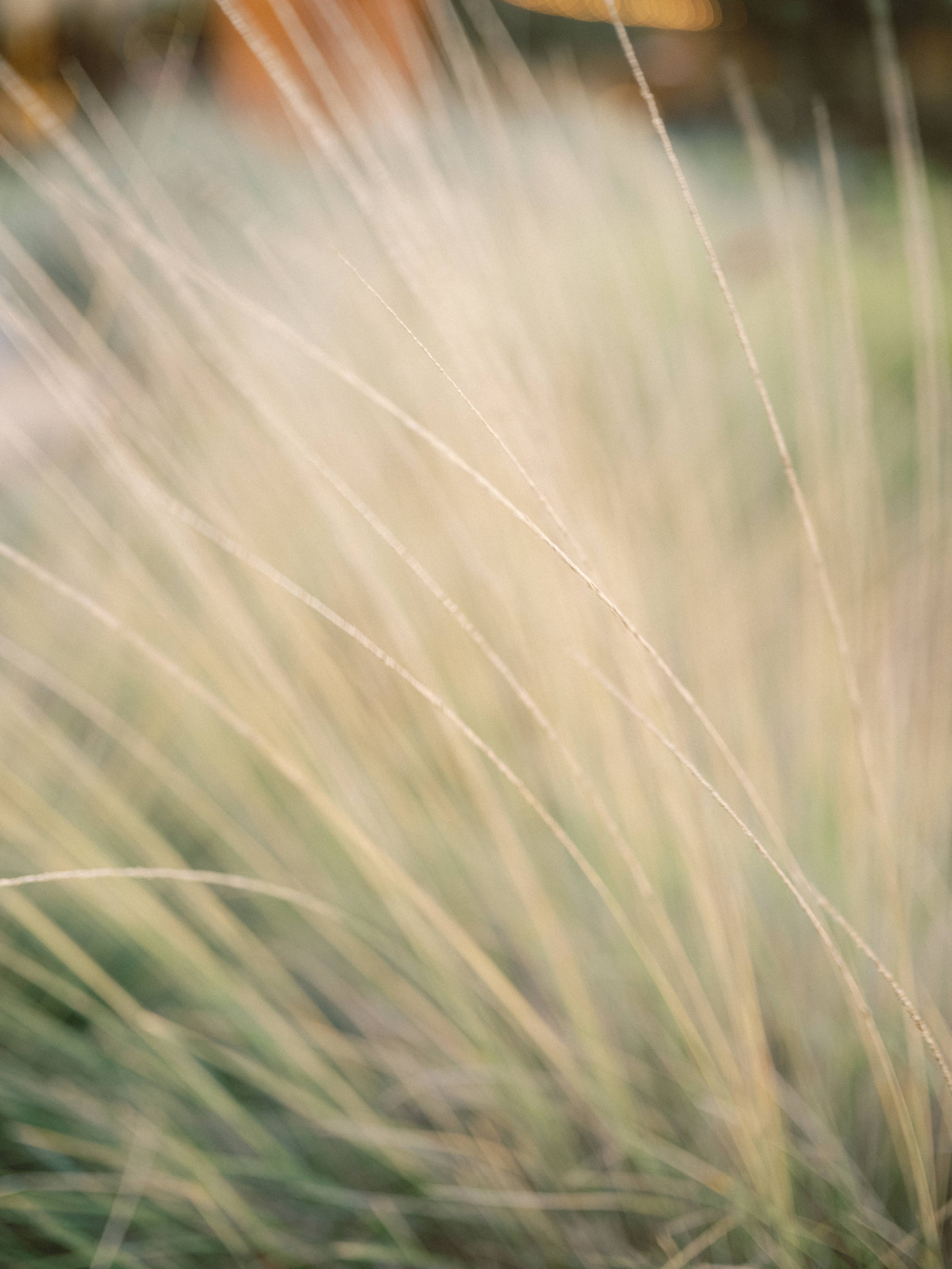 Digital Preview-7.jpg