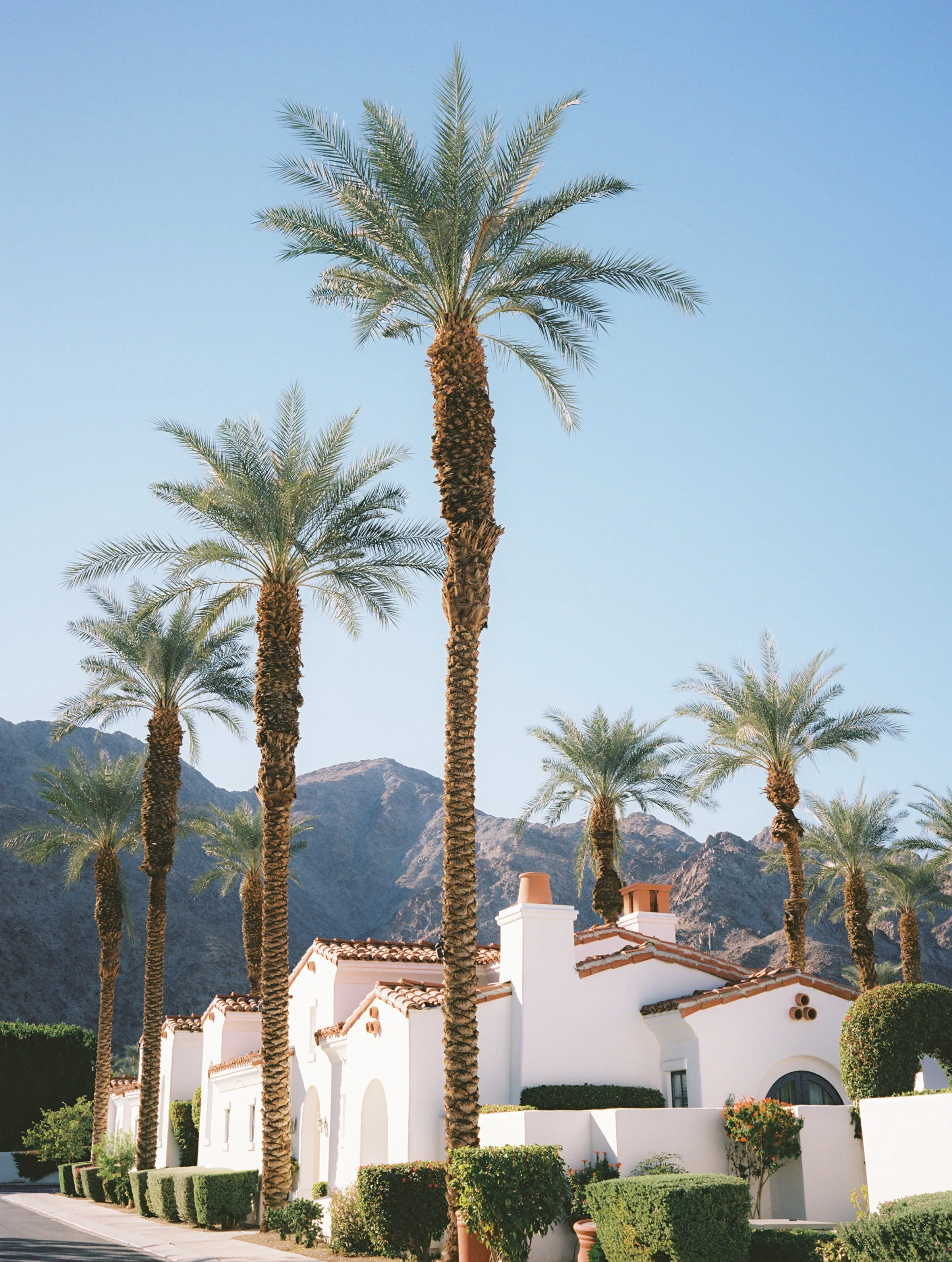 Kayla & Nikoli Wedding Photo Preview 081.JPG