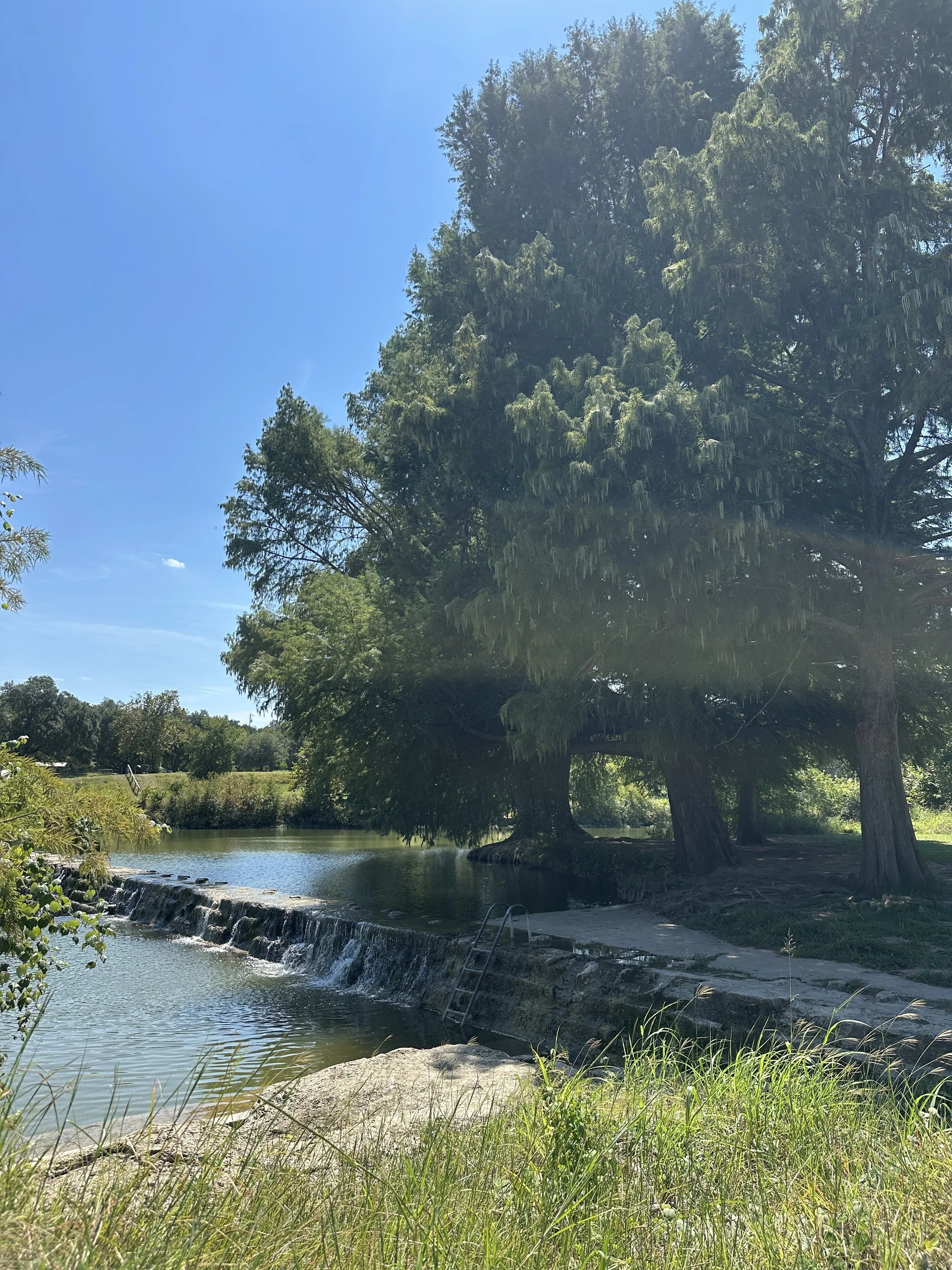 A serene riverside scene with a small waterfall, trees, and a clear blue sky.