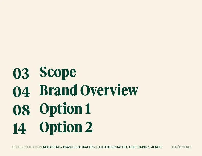 Table of contents with sections: 03 Scope, 04 Brand Overview, 08 Option 1, 14 Option 2, and footer text about logo presentation and branding services.