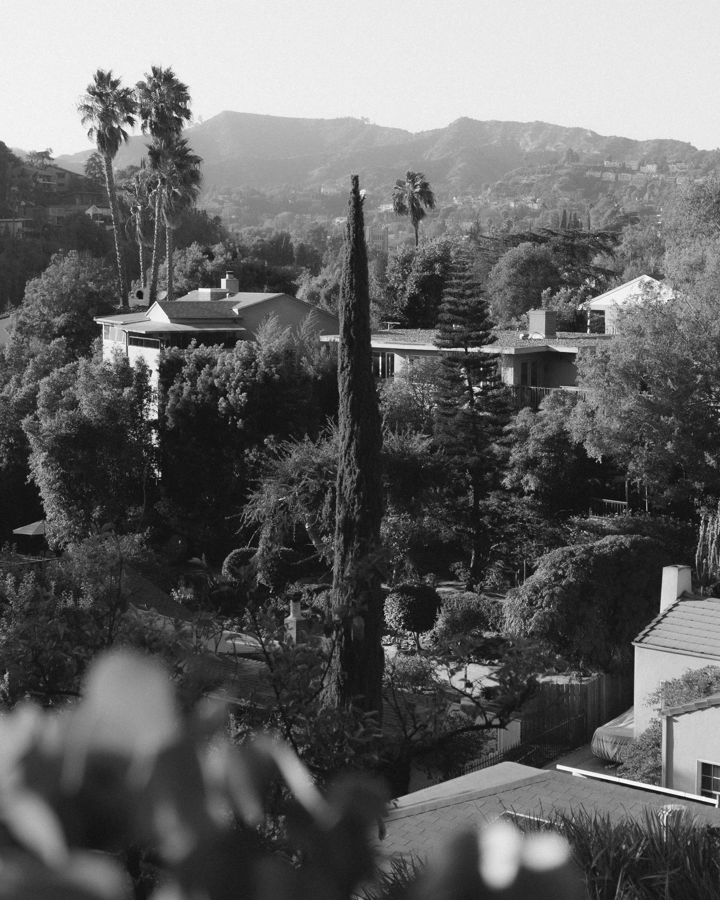 Black and white photo of a hilly suburban neighborhood with tall trees, houses, and mountains in the background.
