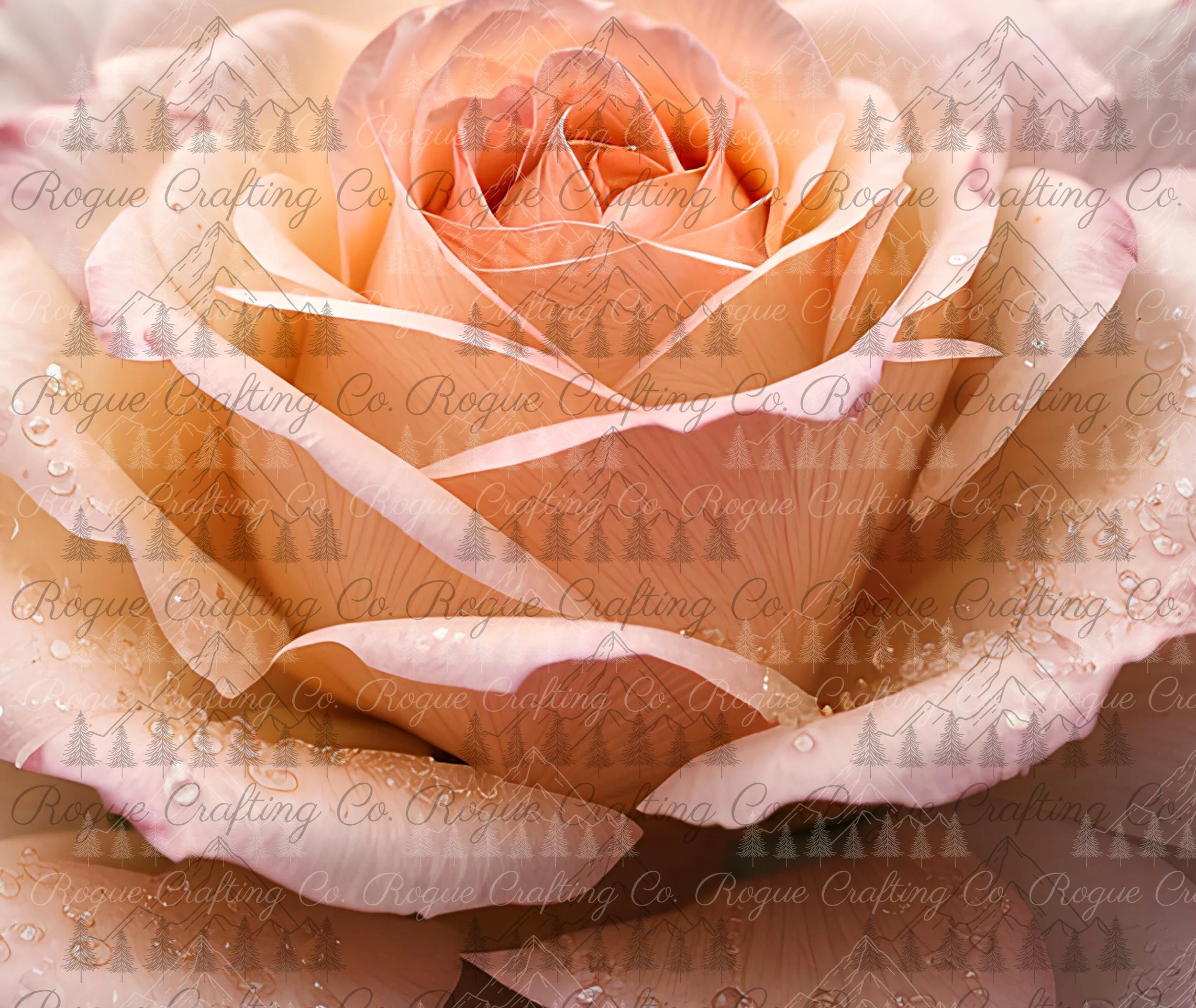 Soft Blush Rose Symphony.jpg
