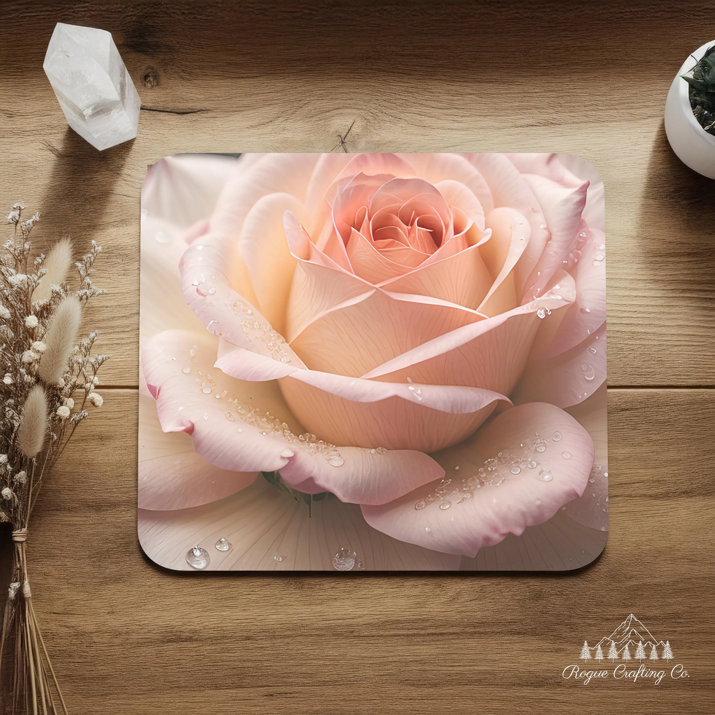 Morning Dew Peach Rose 🌹✨
