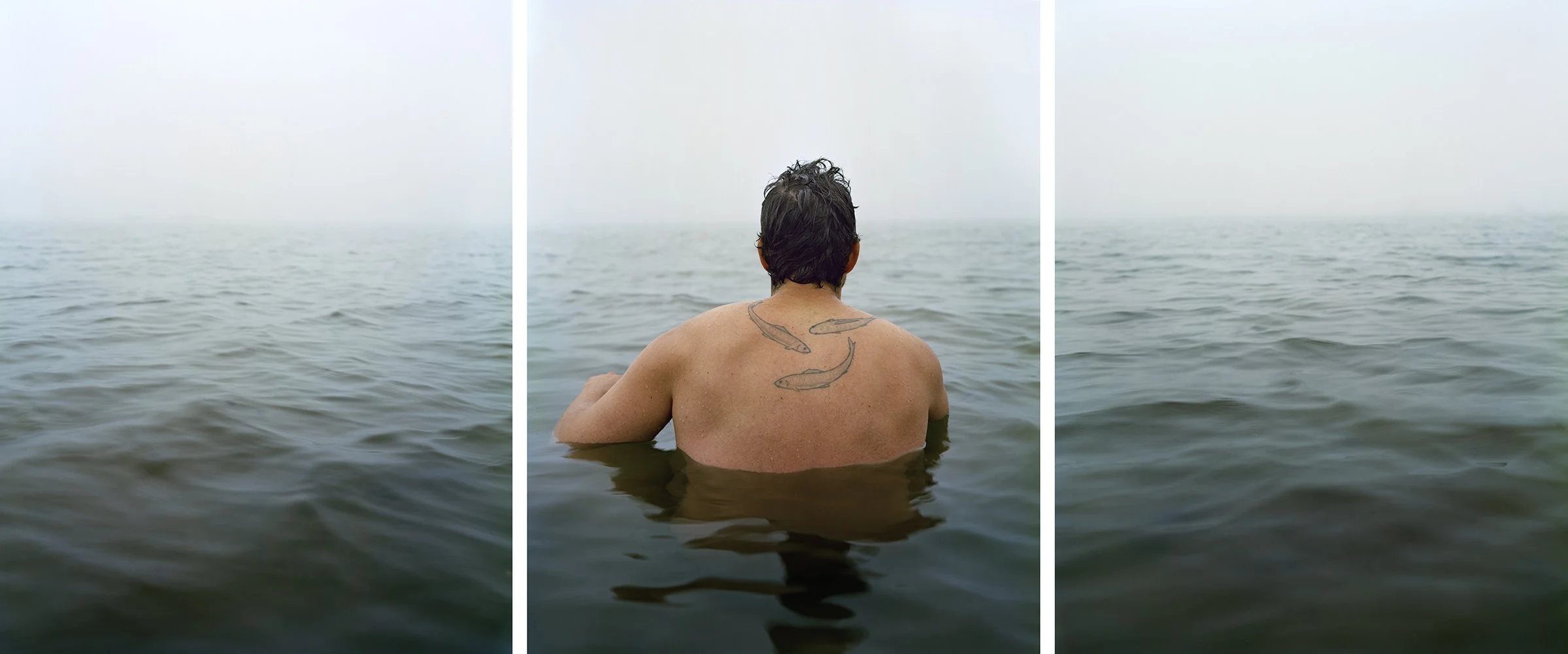 ebb, 2012.jpg