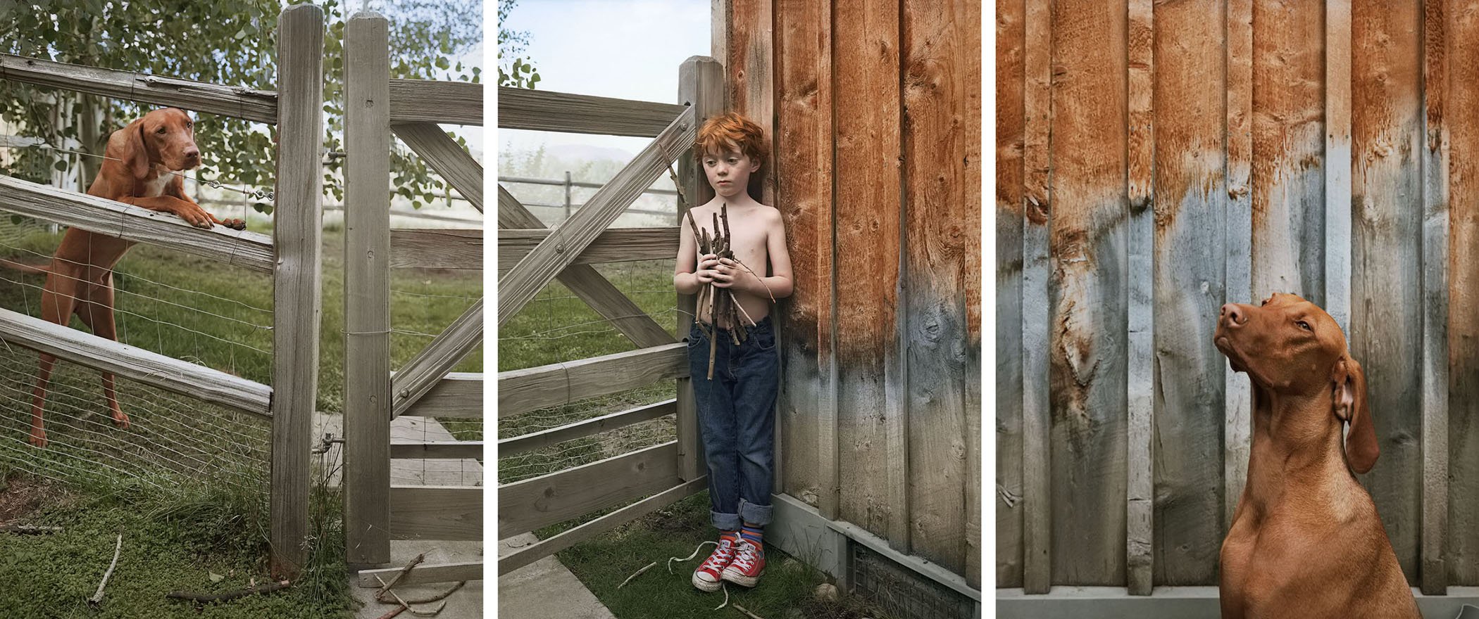 Still with Sticks, 2013 copy.jpg