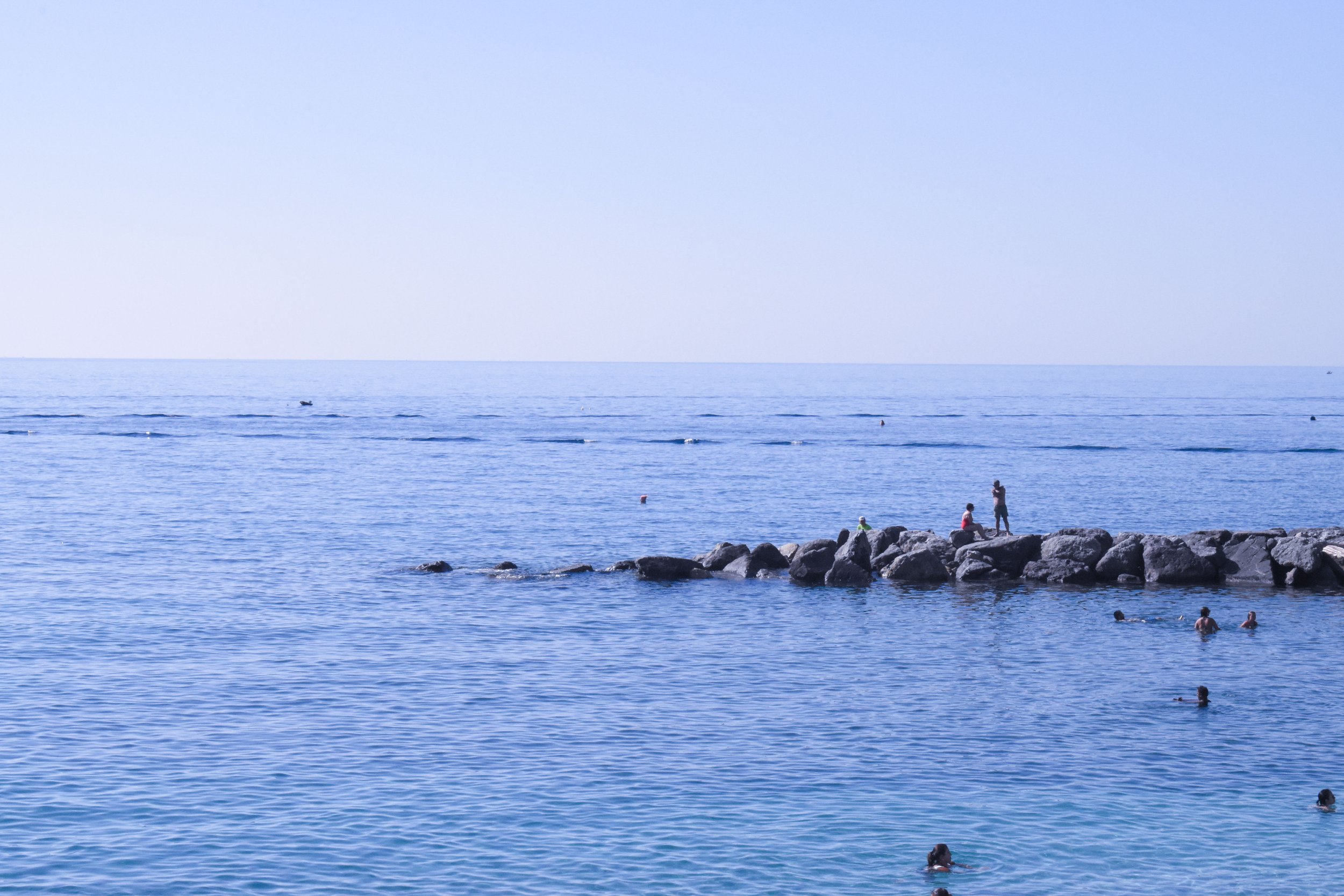 DSC_0084.jpg