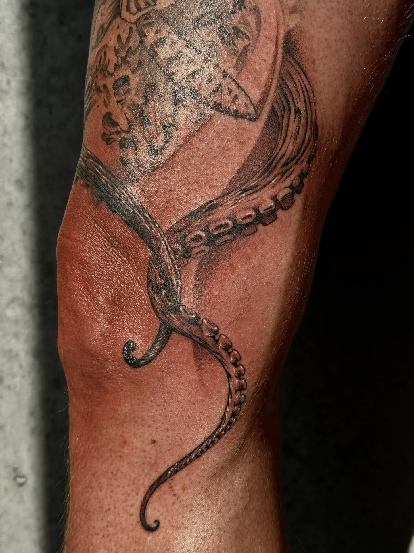 Art projects like time, never finite, in constant evolution 🌀🌀🌀 

#montrealtattoo #montrealtattooartist #tattoomontreal #quebectattooartists #quebectattoos #quebectattoo #tattooquebec #tattoomtl #naturetattoos #foresttattoo