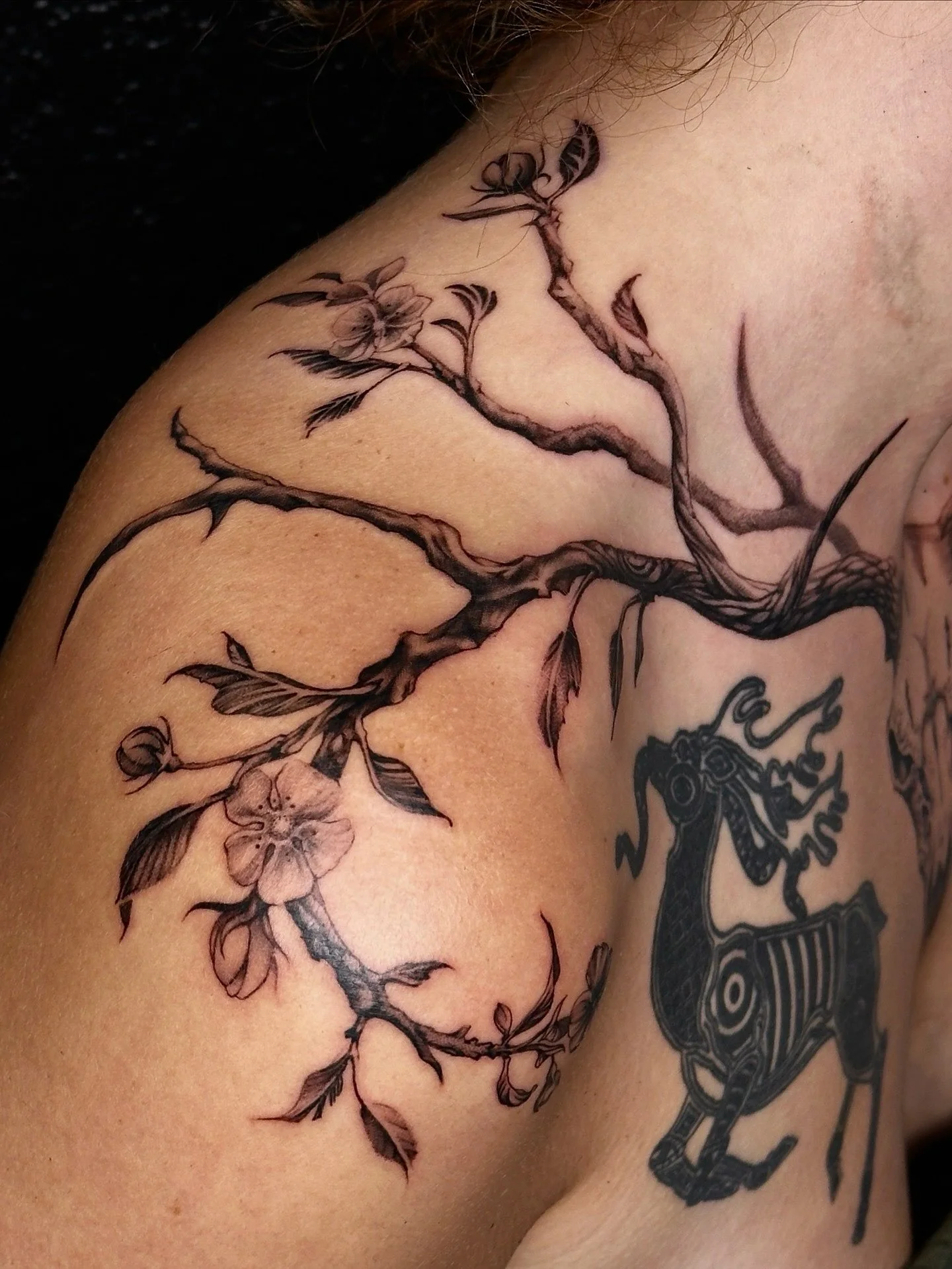 Escapade en Gasp&eacute;sie pour tatouer mon amie @graphigne 🌿🪄🦌🍎 Merci pour ce beau s&eacute;jours! 

#naturetattoo #foresttattoo #femaletattooist #femaletattooist #skulltattoos