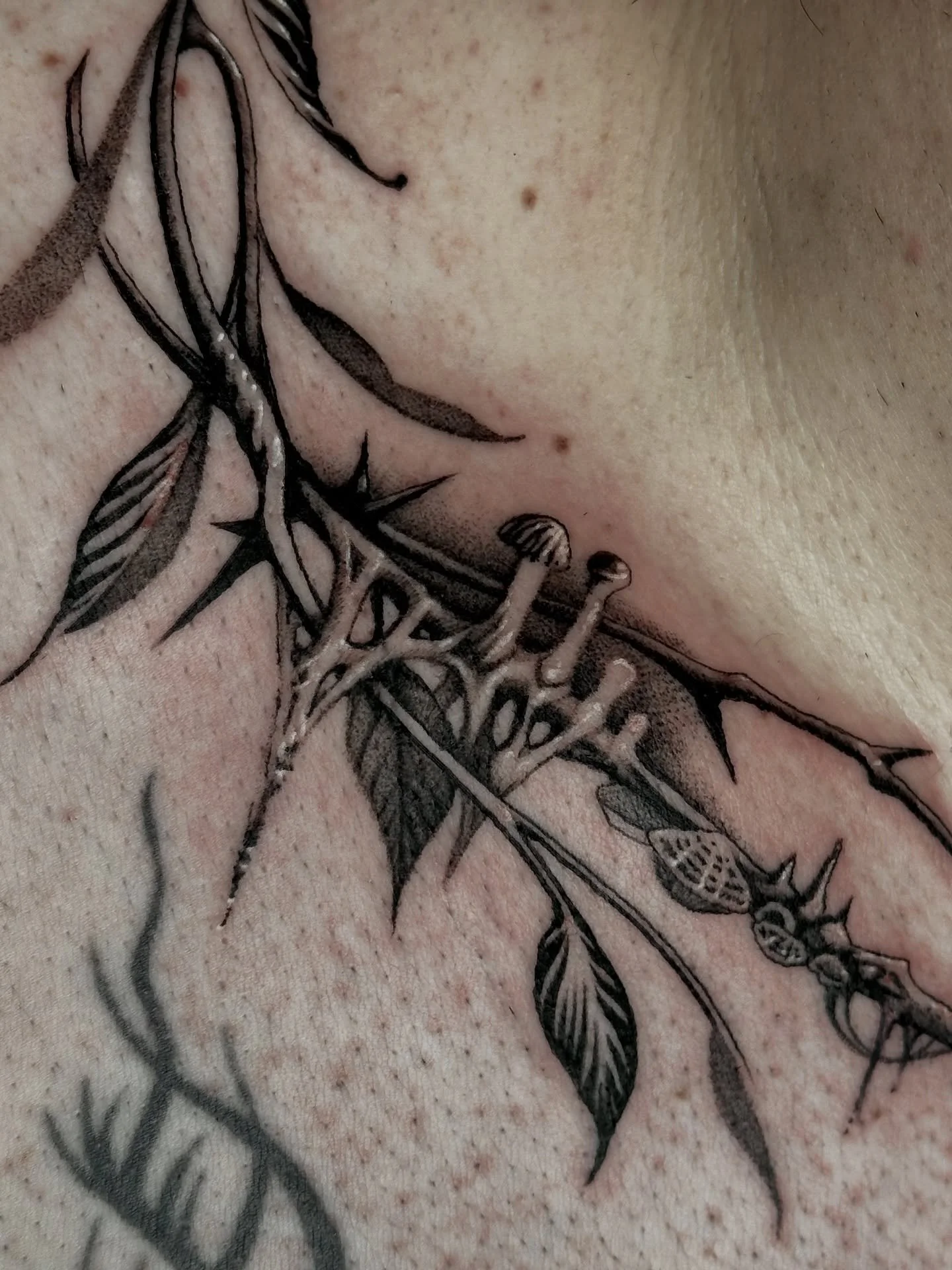 Plants vs animals 🌿🖤 feed me details 

Merci Alexis pour ce projet de r&ecirc;ve 

#montrealtattoo #tattoomontreal #naturetattoo #branchtattoo #foresttattoo #trippytattoo