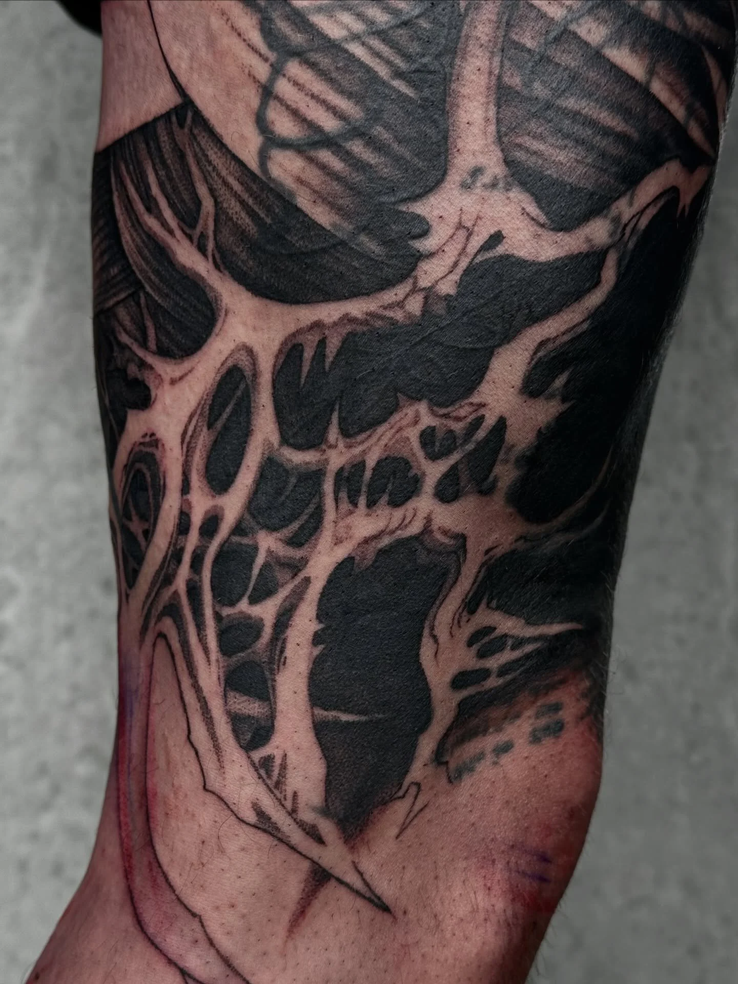 Work in progress 🔋💃🏻🌿 

#montrealtattoo #tattoomontreal #montrealtattooartist #montrealtattoos #naturetattoo