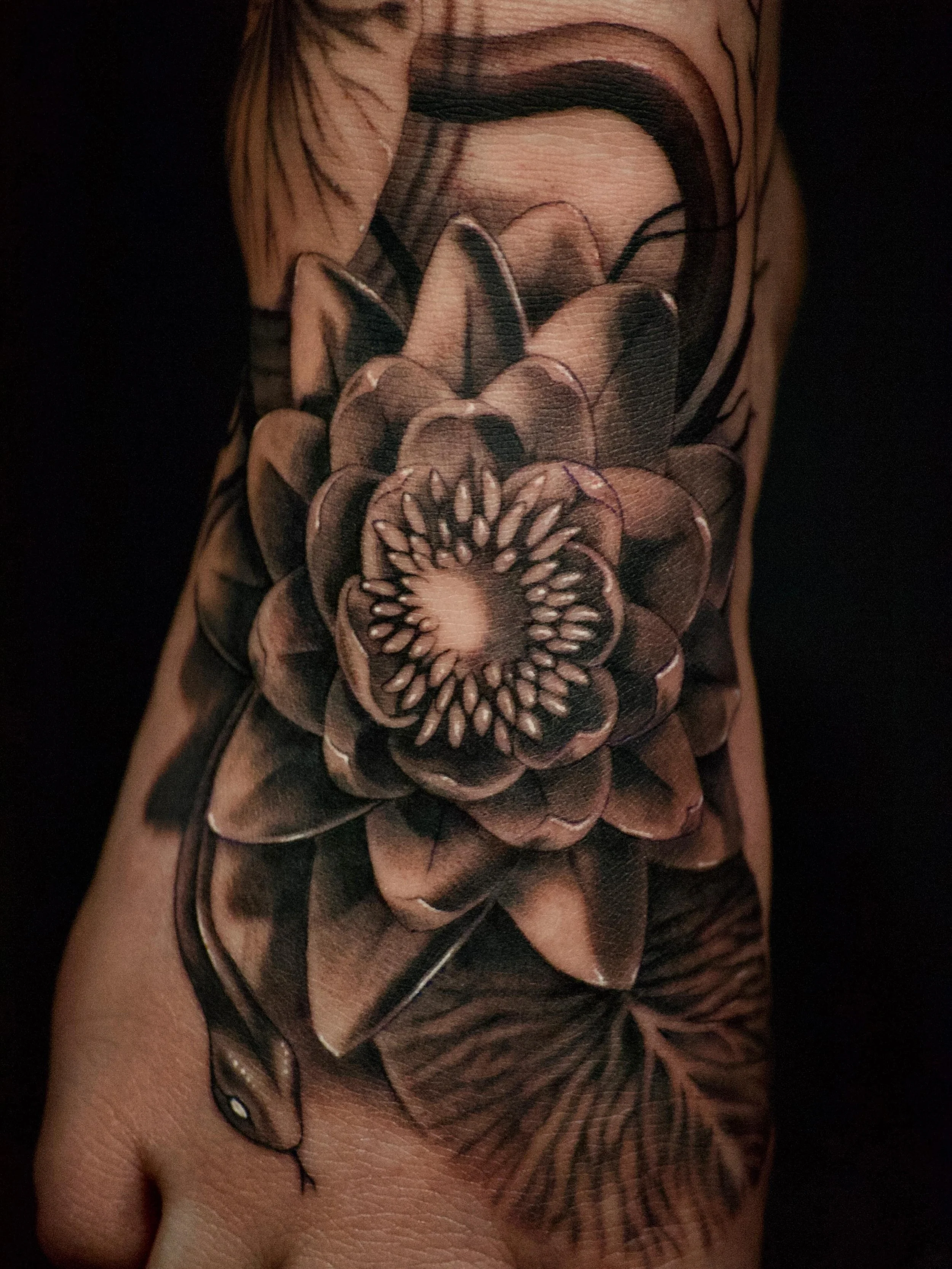 🪷 tried a new style, think I love it 🗝️🦦 Merci &Eacute;lizabeth 🖤 Done in 3h45 

#lotustattoo #foottattoo #flowertattoos #flowertattoo #botanicaltattoos