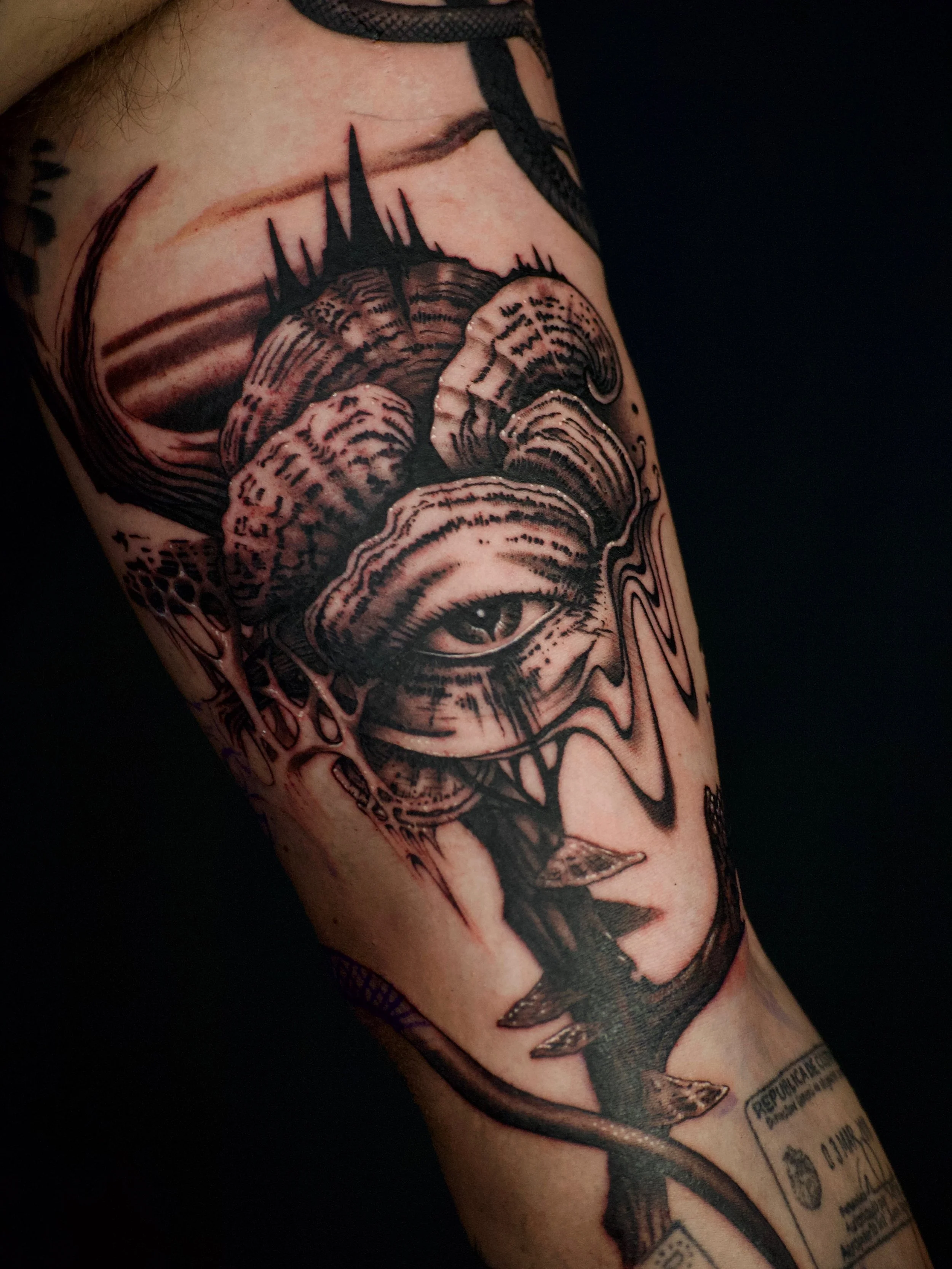 From my flash 🔗 for @max_duvoisin 🙏🏼 see you tomorrow for the rest of the arm 🤪🖤

#montrealtattoo #trippytattoo #tattoomontreal #mushroomtattoo #turkeytailtattoo