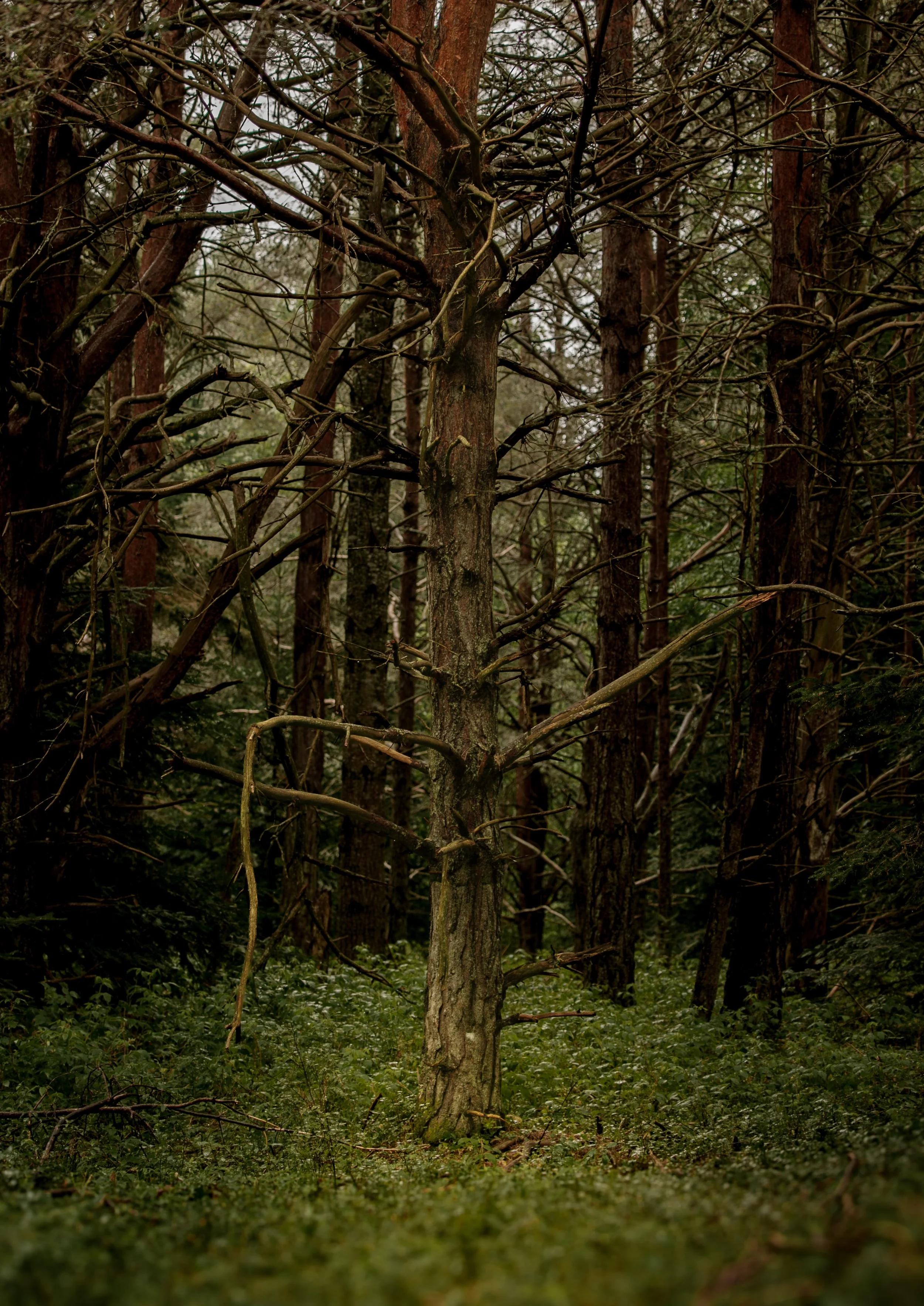 _94A3146.JPG