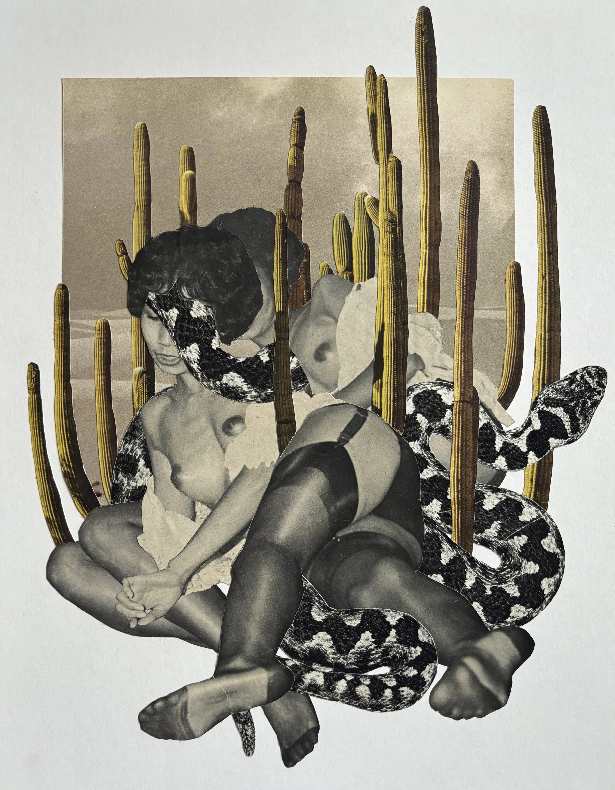 framed collage on board