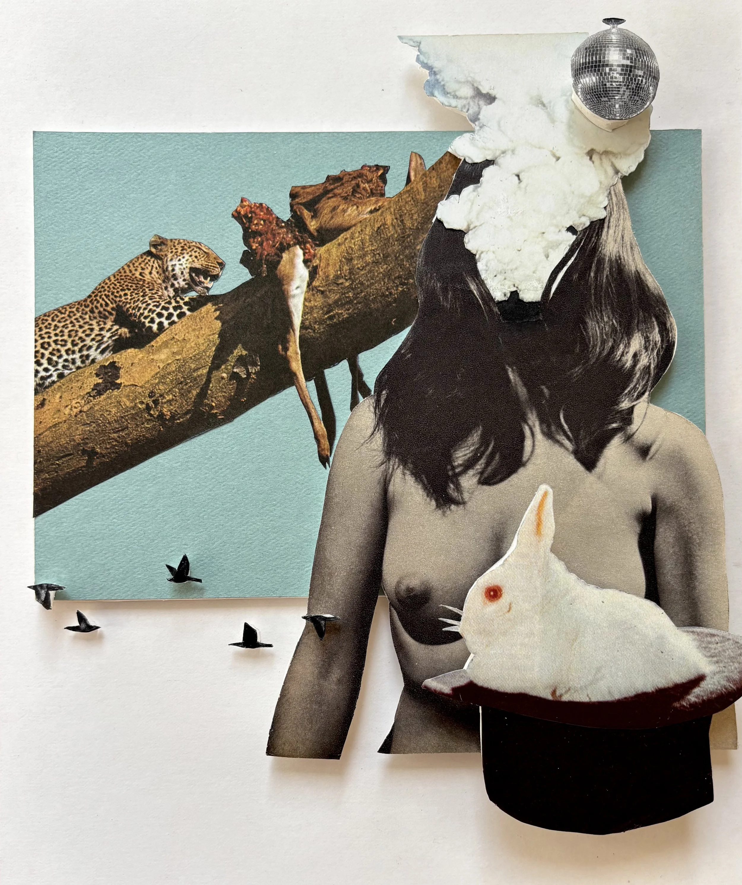 collage on board in plexiglass