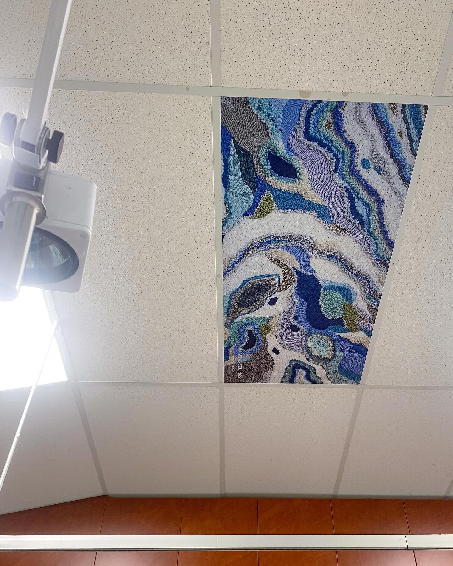 This week I had a very minor surgery and as the doctor sewed up my stitches I got to look up at these @pi_williams_art beauties. It&rsquo;s the first time I have been able to look up to our art and they absolutely do distract you. I searched every st