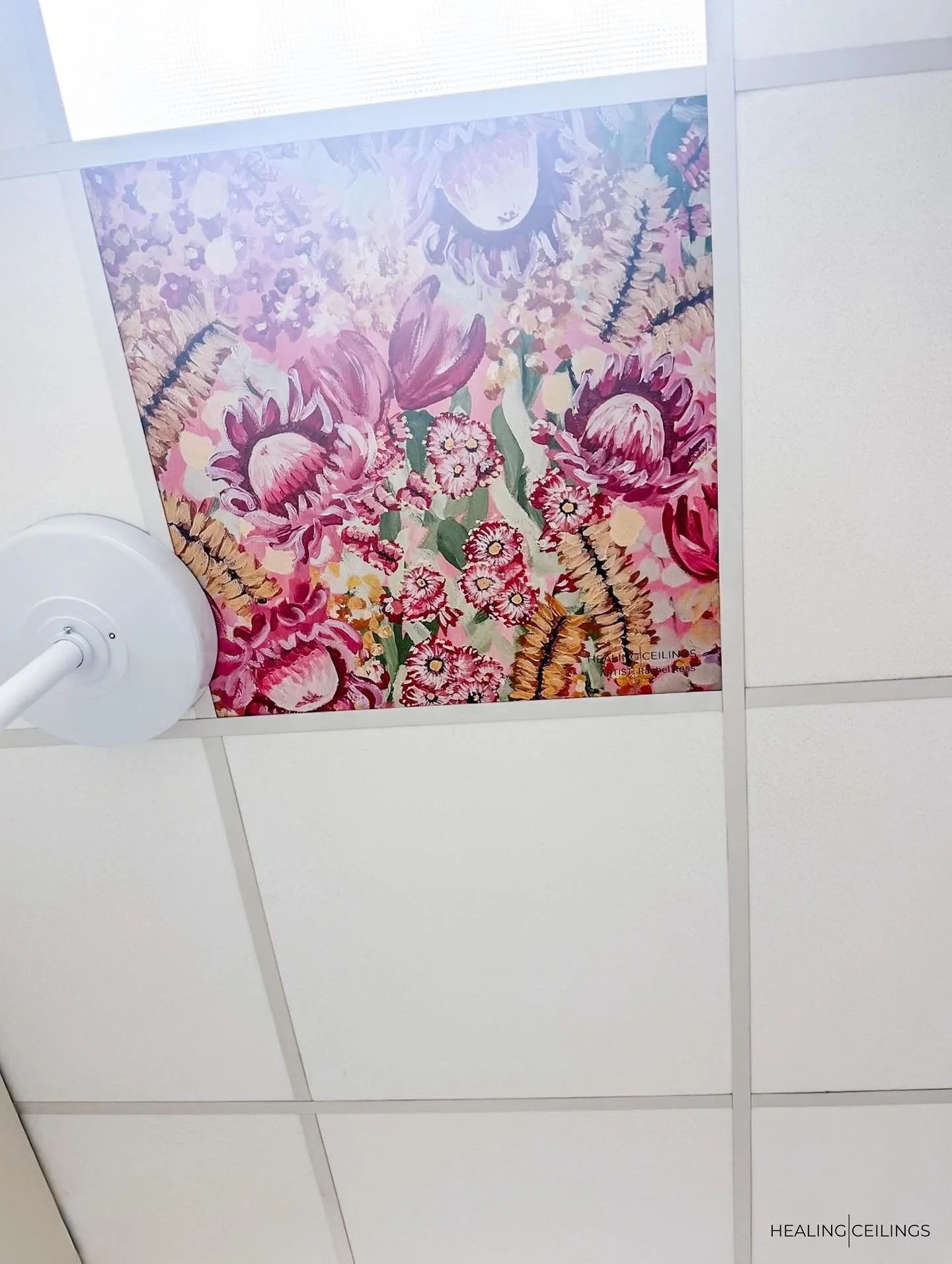 Happy @rachelrossartist fine art sitting really pretty on the ceilings of the Royal Tasmania Hospital 🥰

How many flowers can you count?

#healingceilings #lookup #fineart #fineartceilings #artforhospitals