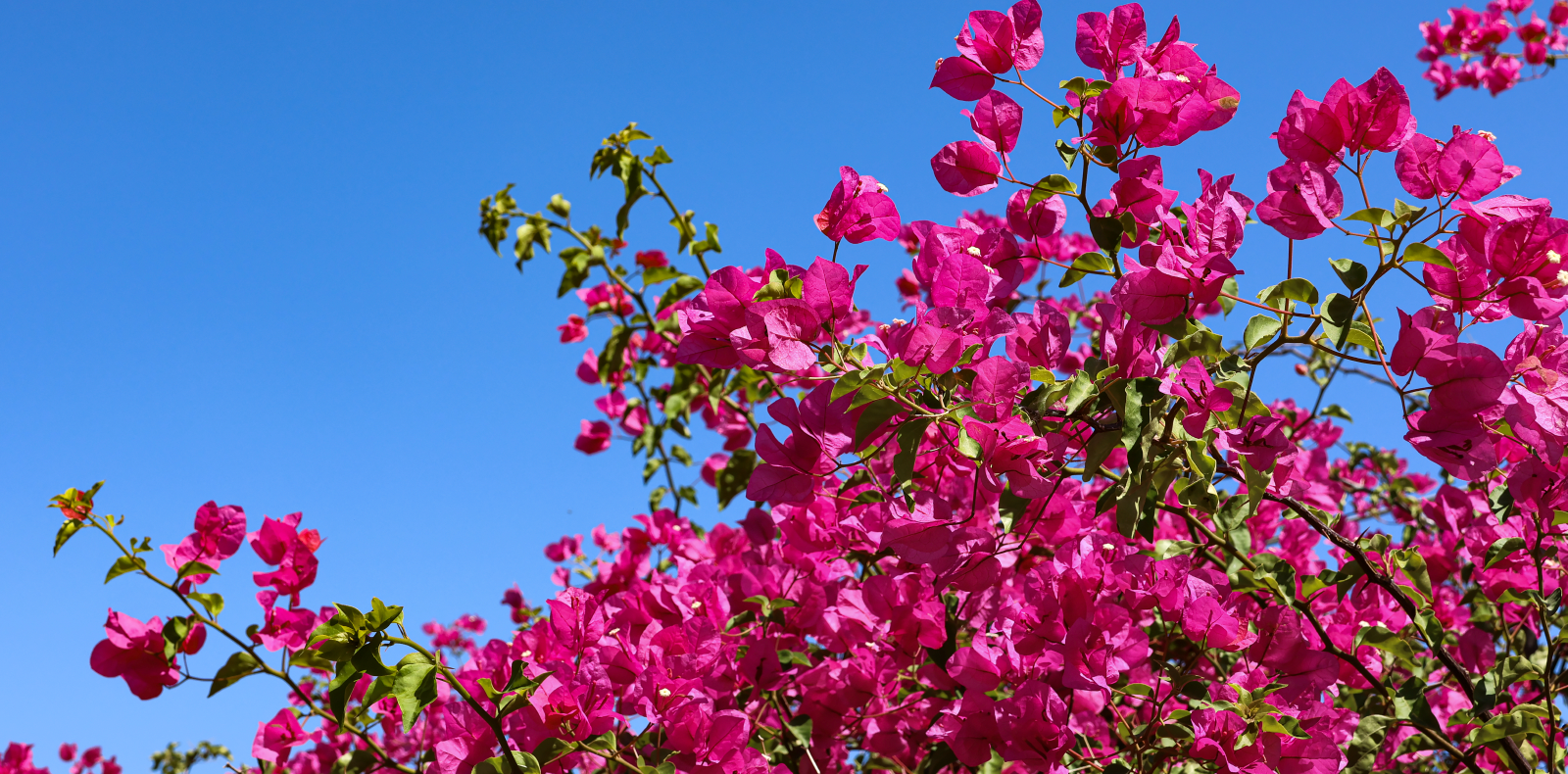 Screenshot 2025-10-31 at 3.03.12 pm.png