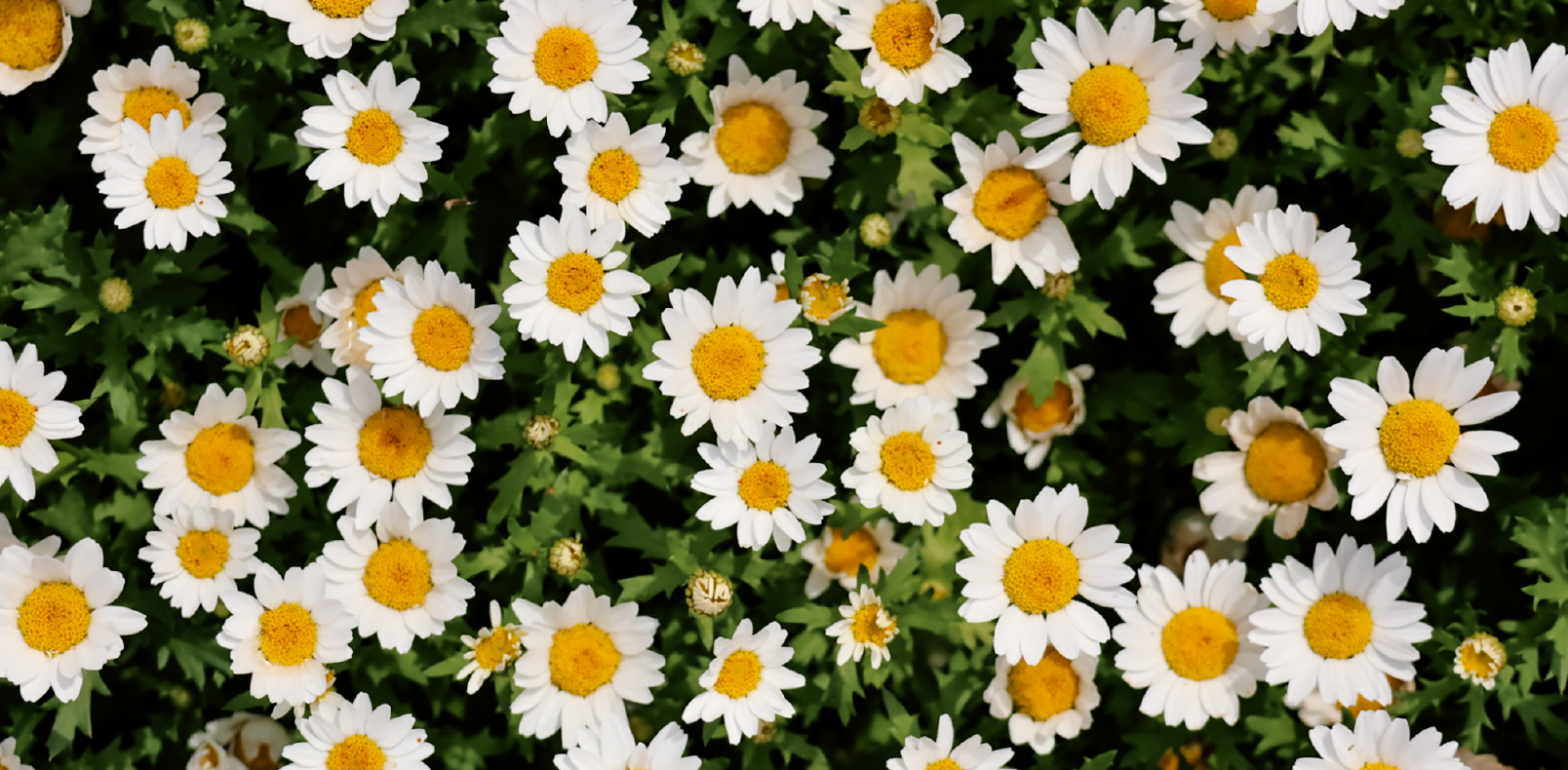 Screenshot 2025-10-31 at 3.23.09 pm.png