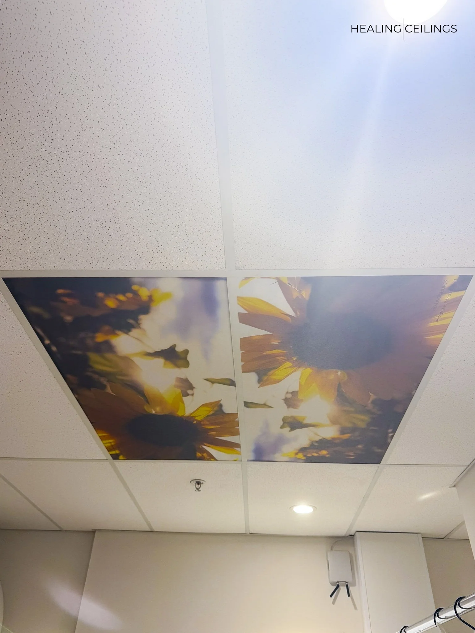Icon Cancer Centre Greenslopes QLD