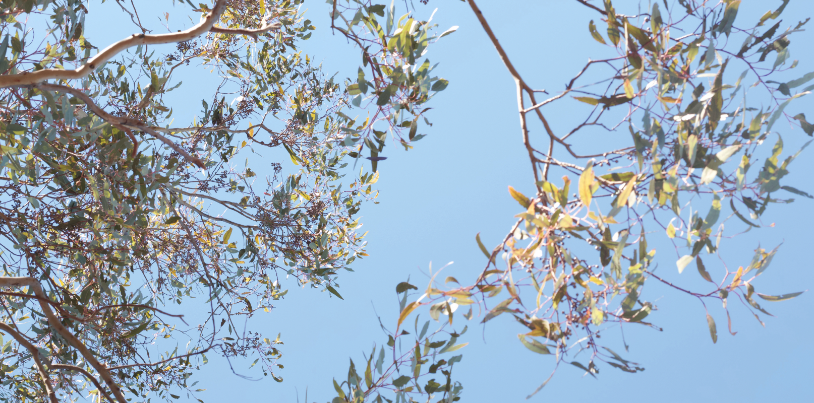 Screenshot 2025-10-31 at 3.09.36 pm.png