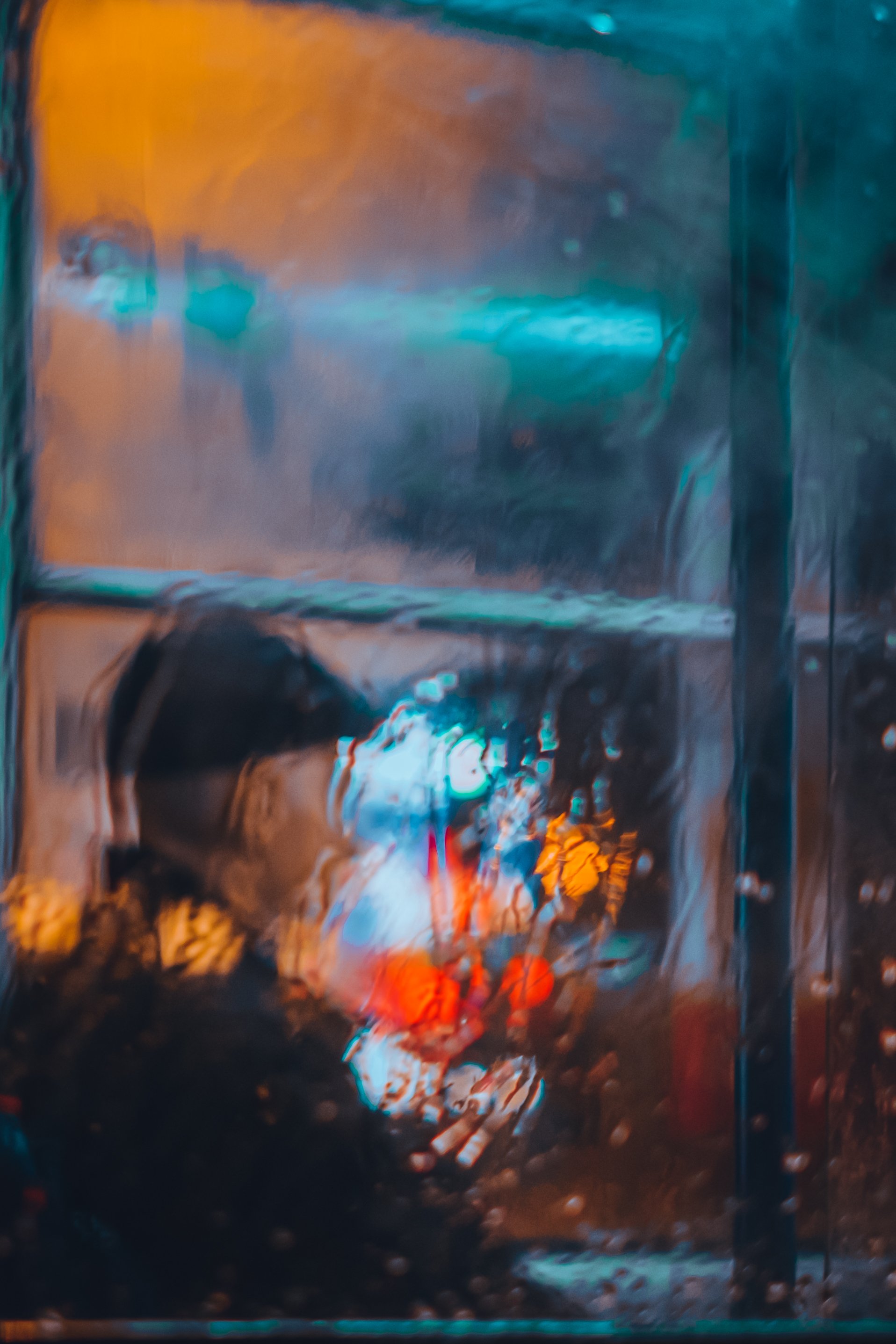 _DSF6283.jpg