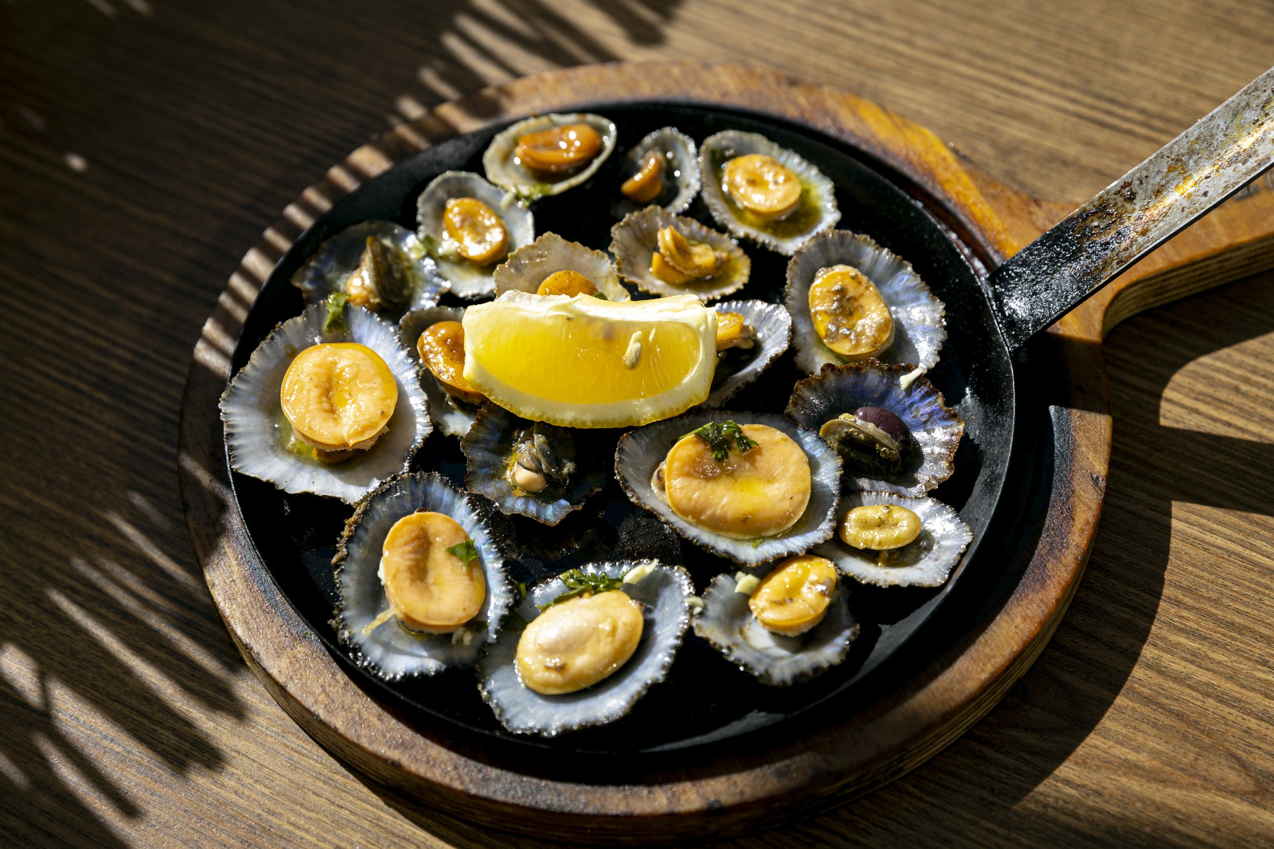 GUIAMADEIRA_FRP, 28022023-22.jpg