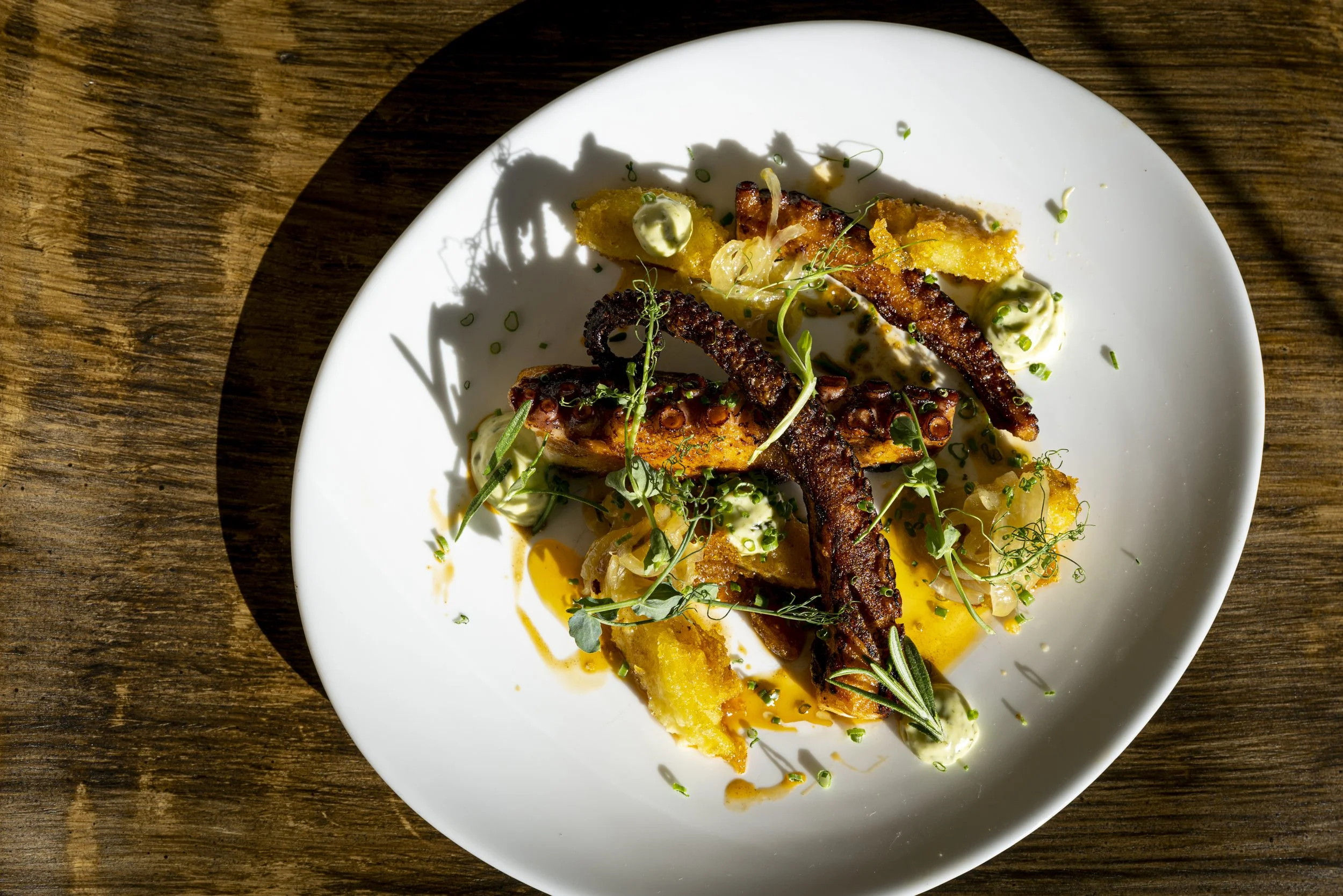 BARIMORAL_FRP, 11042023-12.jpg