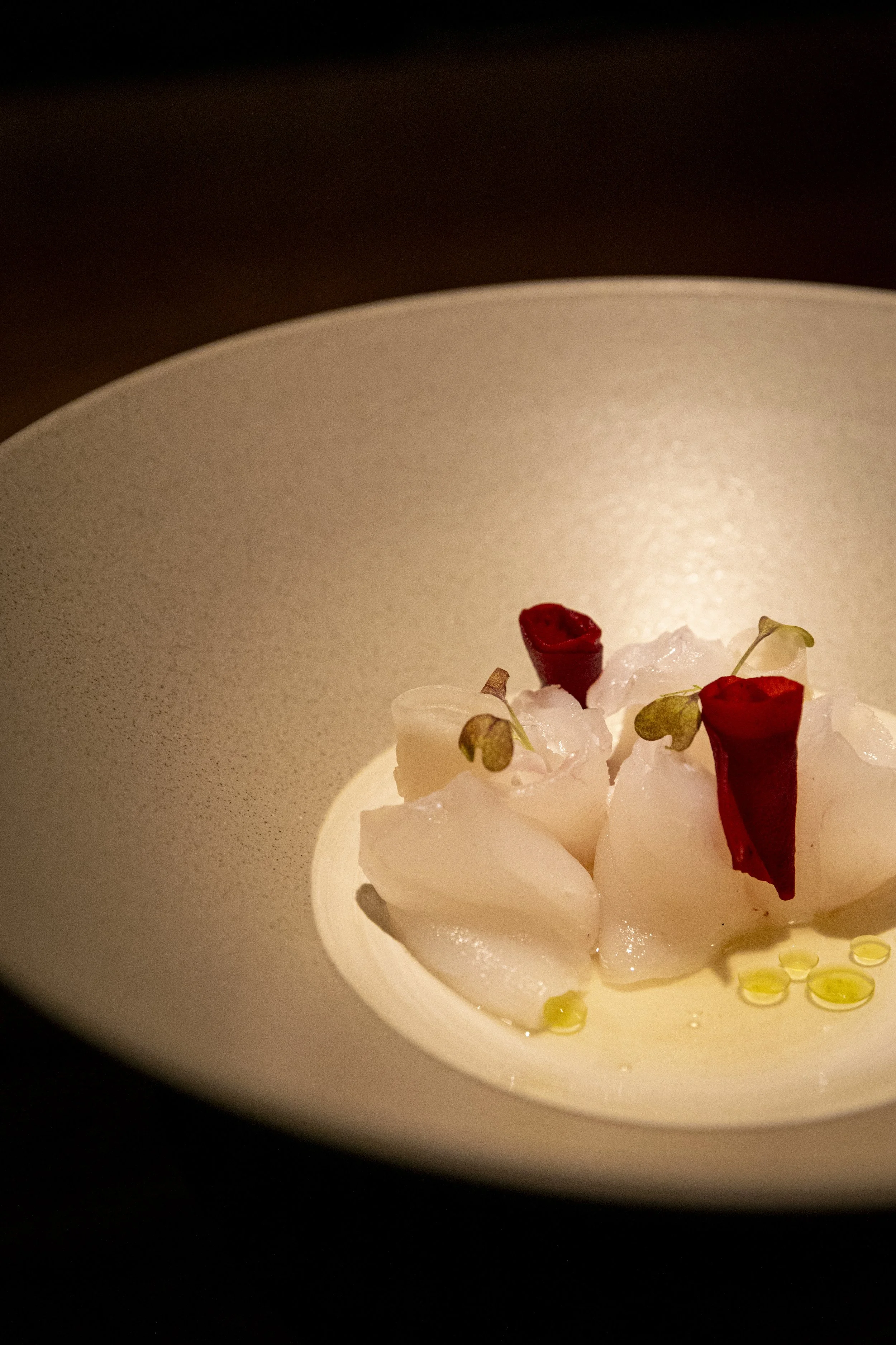 RYOSHI_FRP, 07052024-22.jpg